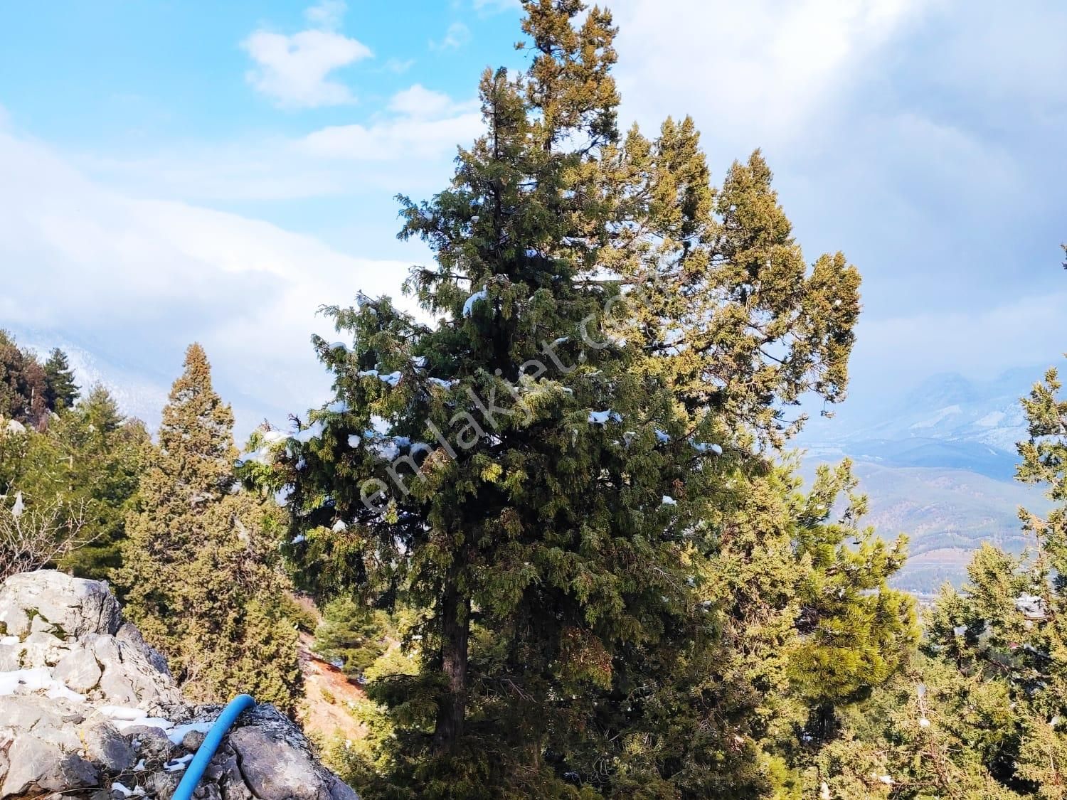 Kar Emlaktan Yeni Konacık Kırıntı Mevkiinde 450 M2 Satılık Arsa - Görsel 18