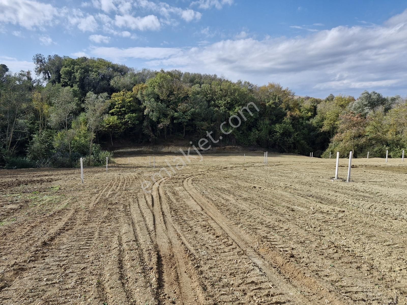Silivri Kadıköy Yerleşim İçinde Orman Mazaralı Satılık Parseller - Görsel 30