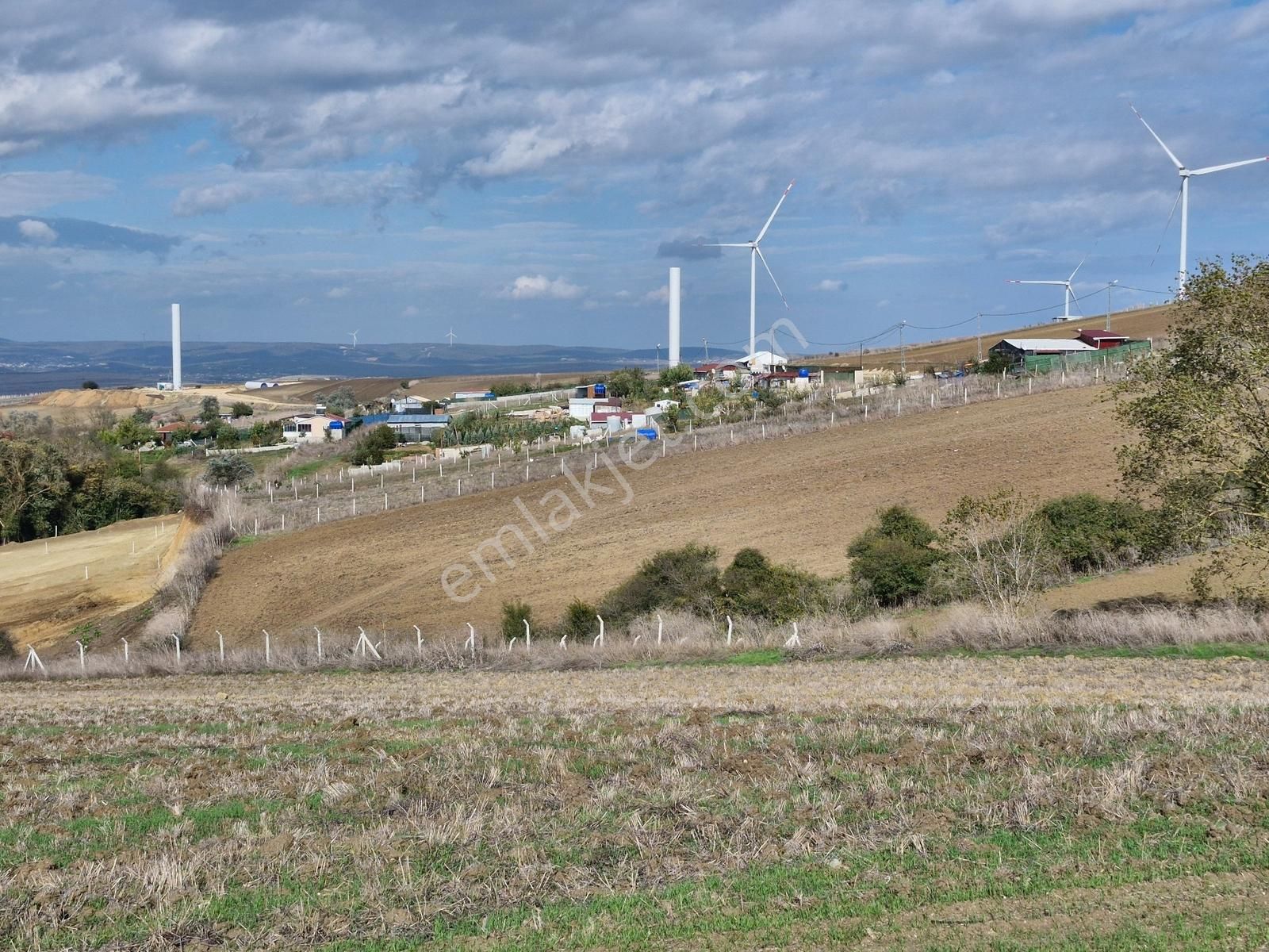 Silivri Kadıköy Yerleşim İçinde Orman Mazaralı Satılık Parseller - Görsel 7