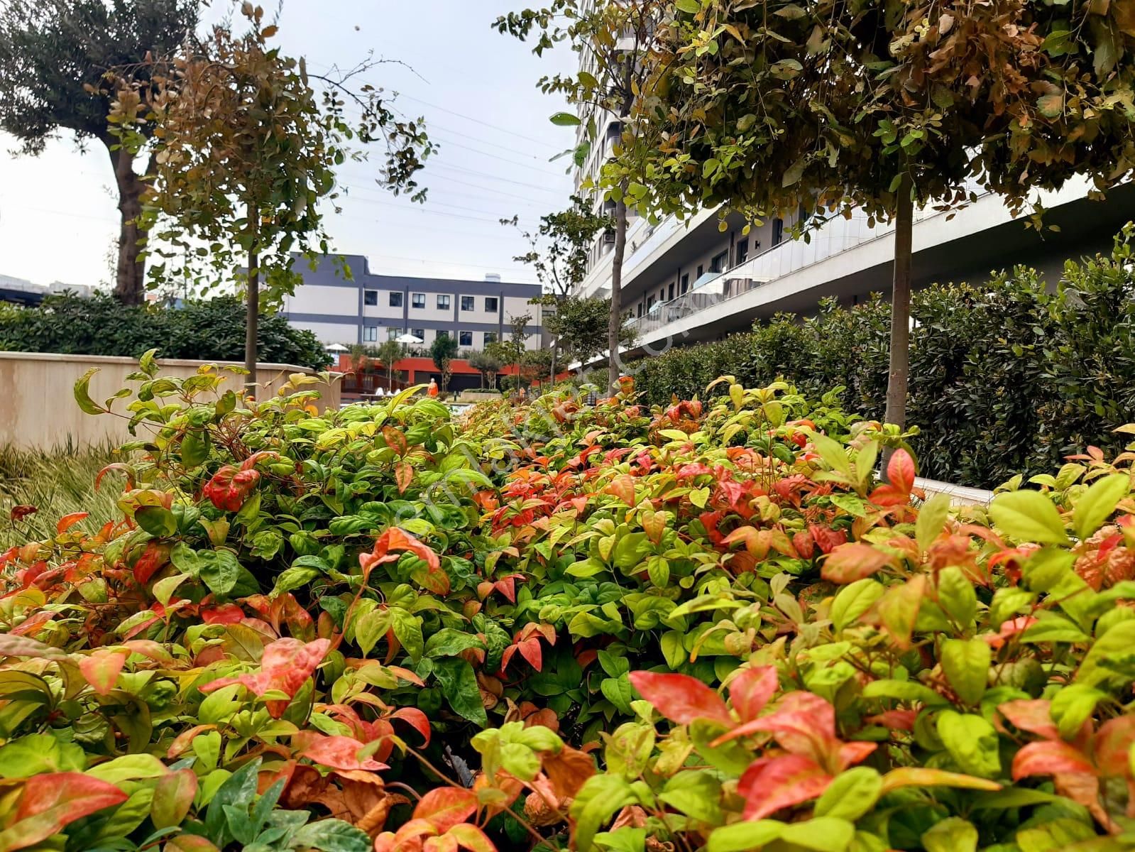 Babacan Premium Site İçinde Bahçeli Eşyalı 2+1 Kiralık Daire - Görsel 18