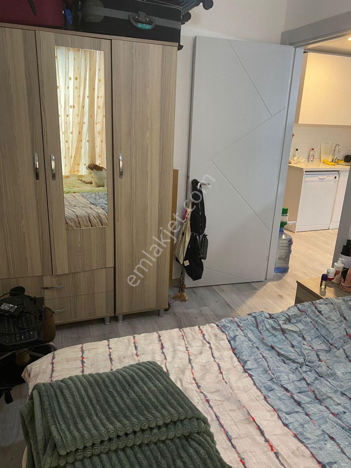 Bornova Erzene Mah.kiralık Full Eşyalı 1+1 Daire - Görsel 3