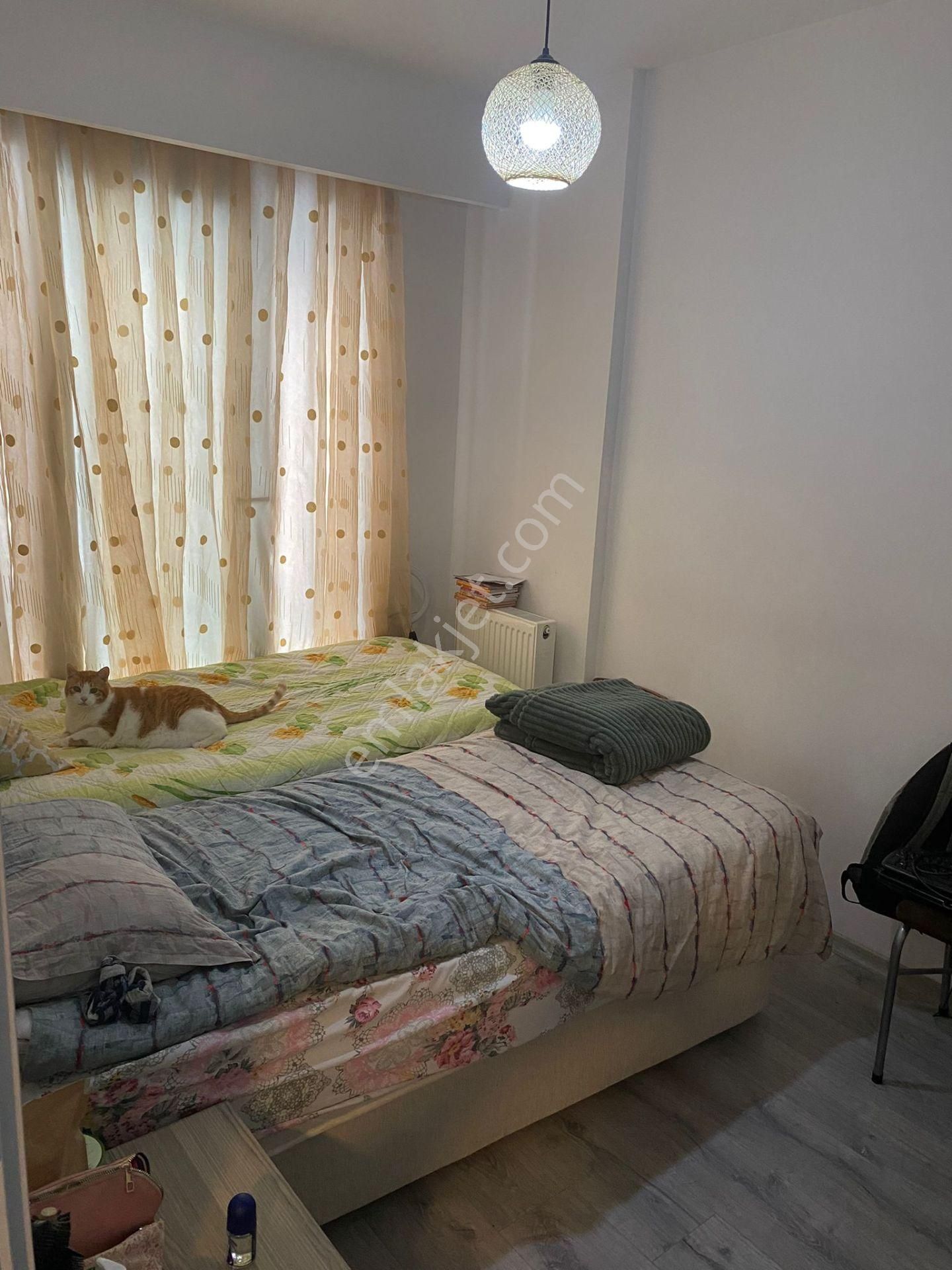 Bornova Erzene Mah.kiralık Full Eşyalı 1+1 Daire - Görsel 4