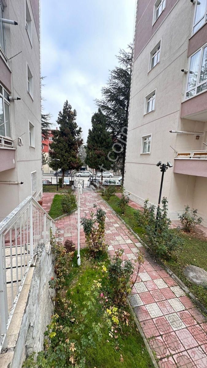Fsn Den Osmanlı Da Bakımlı Sitede Arakat Yapılı 3+1 Kiralık - Görsel 20