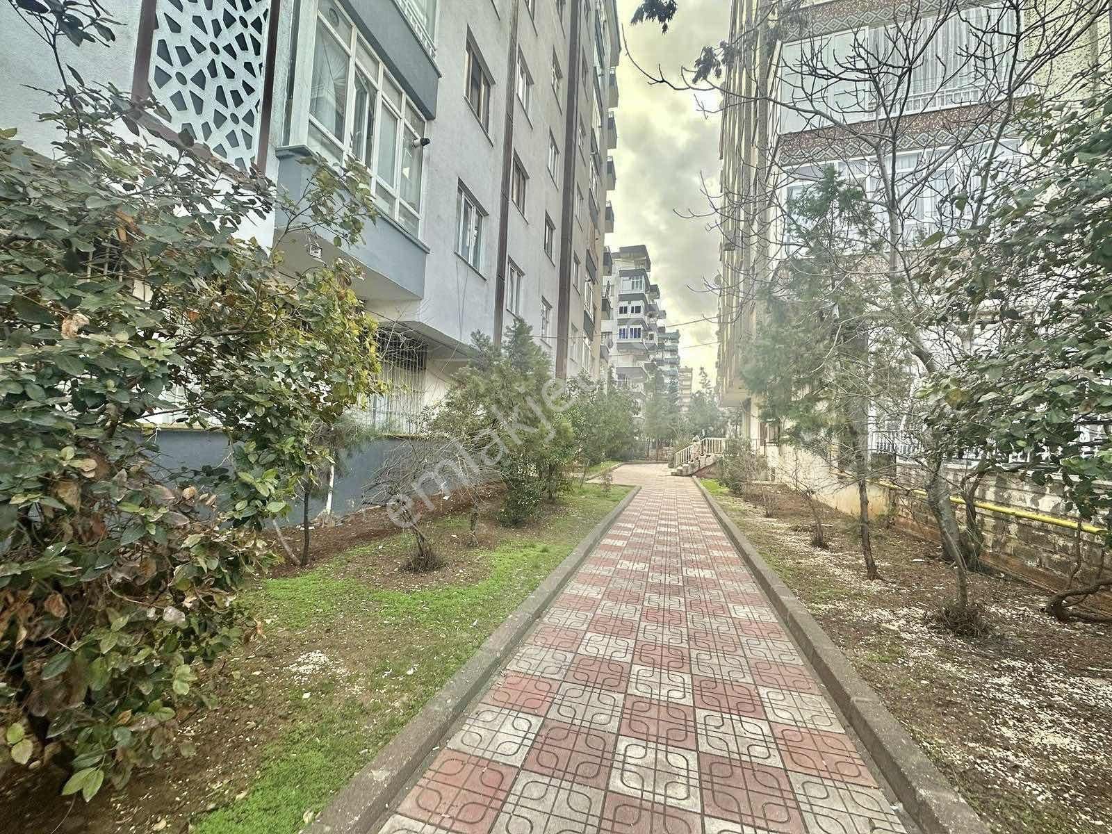 Ceylan Arkası 3+1 Acil Satılık Bakımlı Daire!!! - Görsel 2