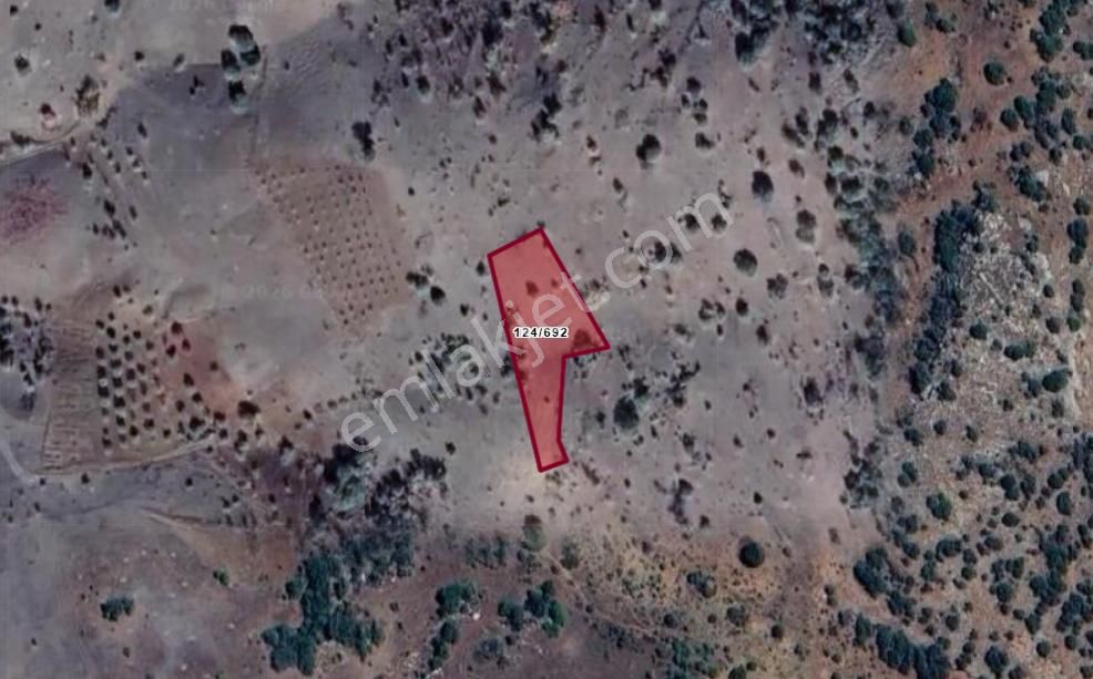 Konya Güneysınır Gürağaç Köyünde 1.519 M² Bağ Satılıktır