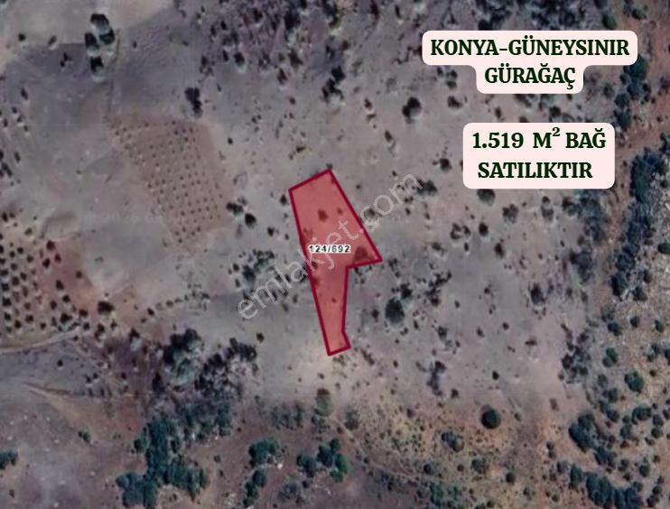 Konya Güneysınır Gürağaç Köyünde 1.519 M² Bağ Satılıktır - Görsel 2