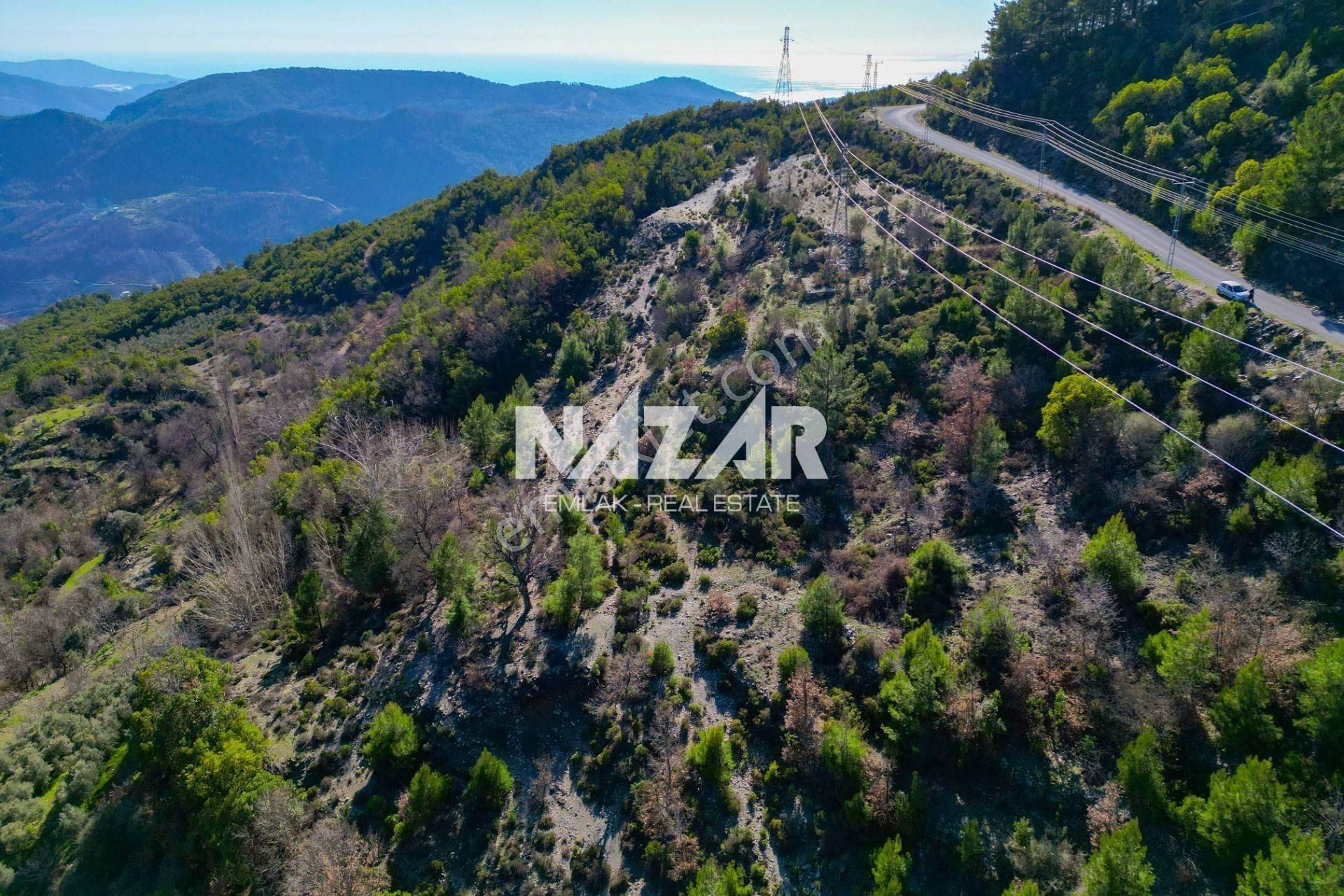 Alanya Şıhlar Köyü’nde 3.035 M² Satılık Tarla - Görsel 11