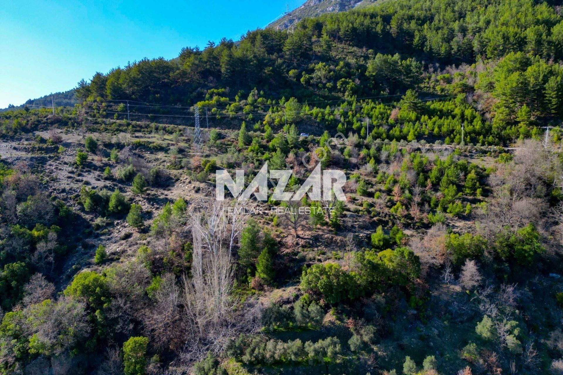 Alanya Şıhlar Köyü’nde 3.035 M² Satılık Tarla - Görsel 10