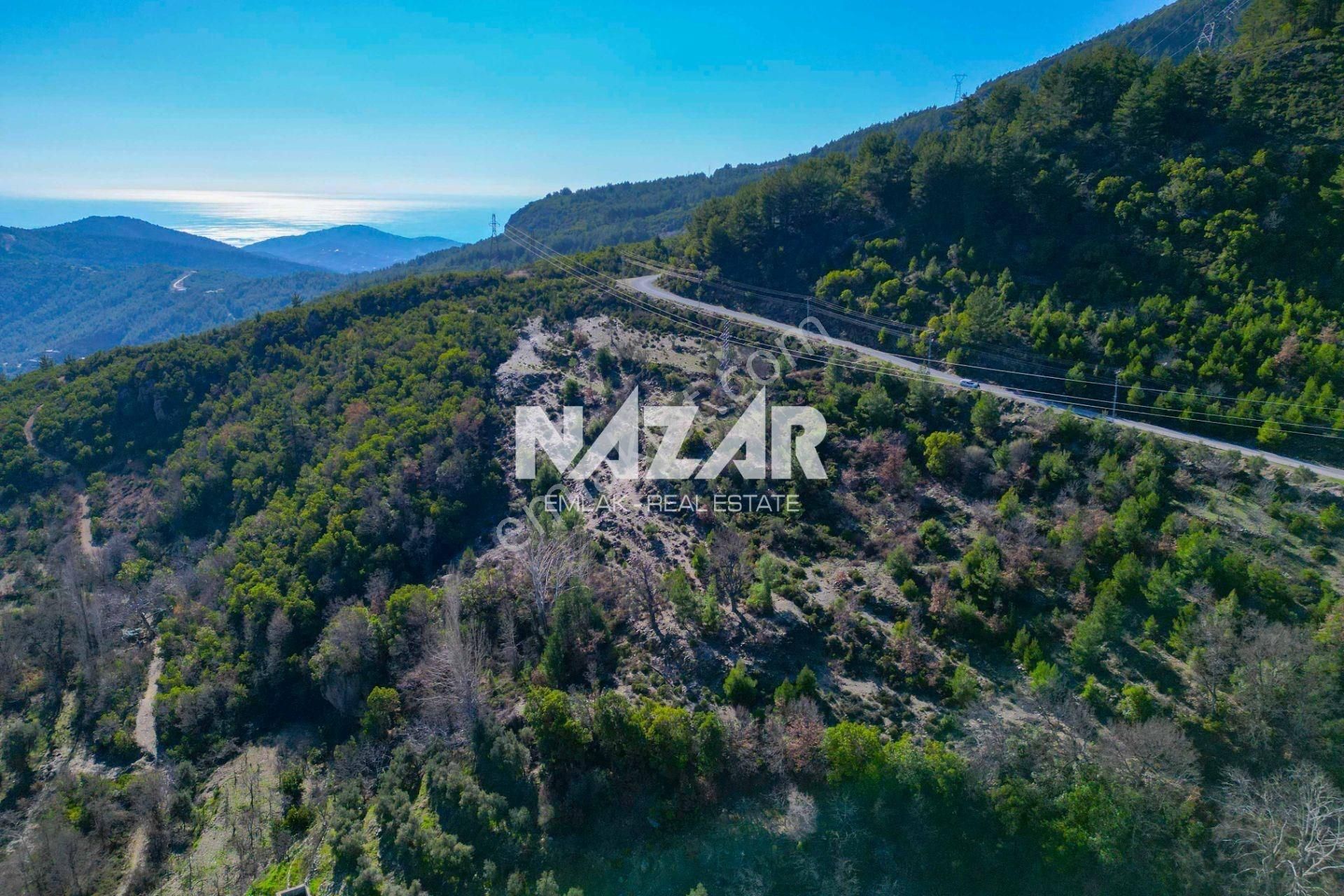 Alanya Şıhlar Köyü’nde 3.035 M² Satılık Tarla