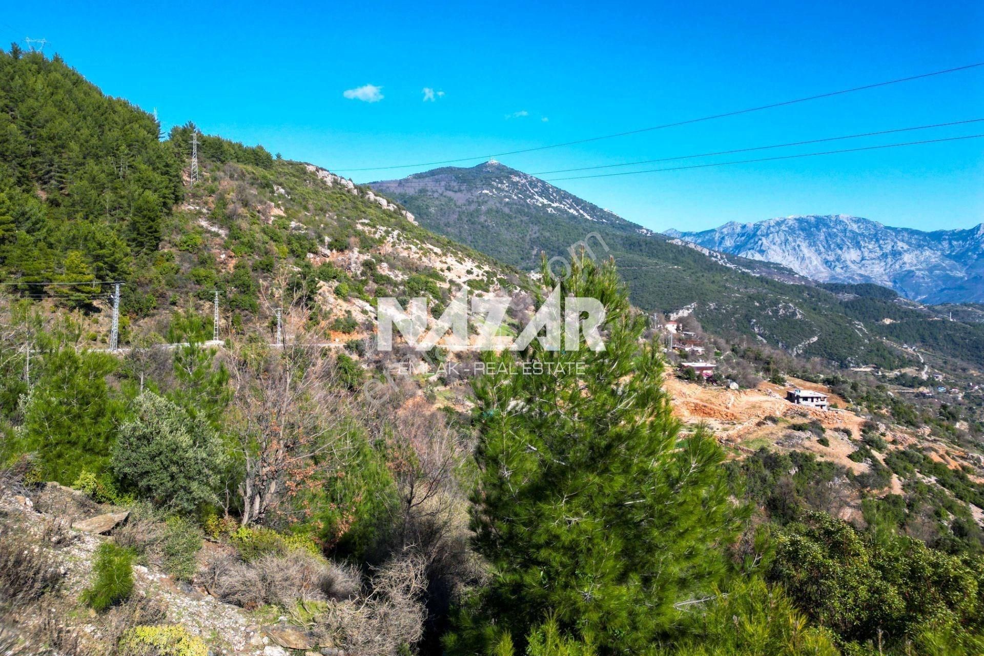Alanya Şıhlar Köyü’nde 3.035 M² Satılık Tarla - Görsel 6