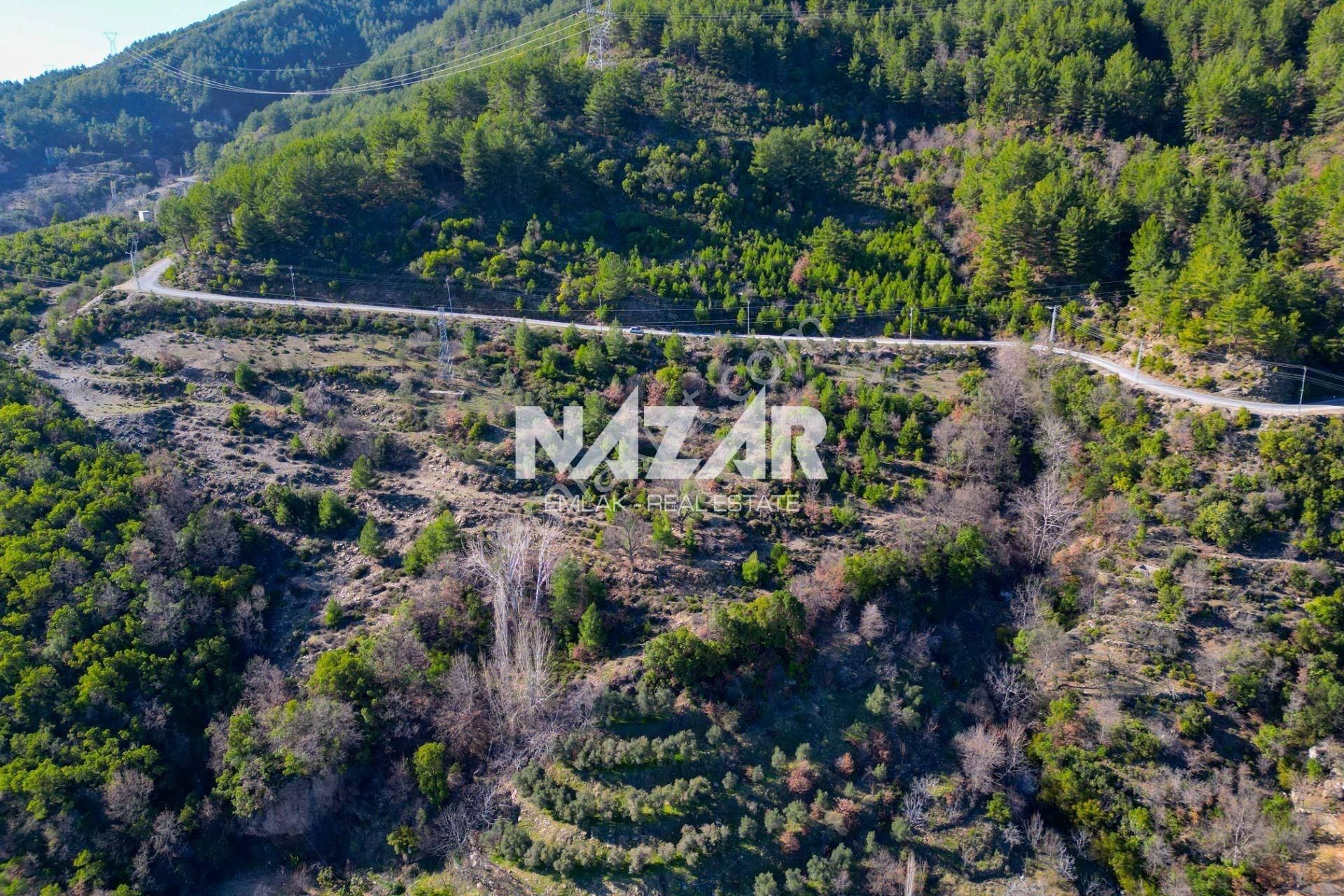 Alanya Şıhlar Köyü’nde 3.035 M² Satılık Tarla - Görsel 8