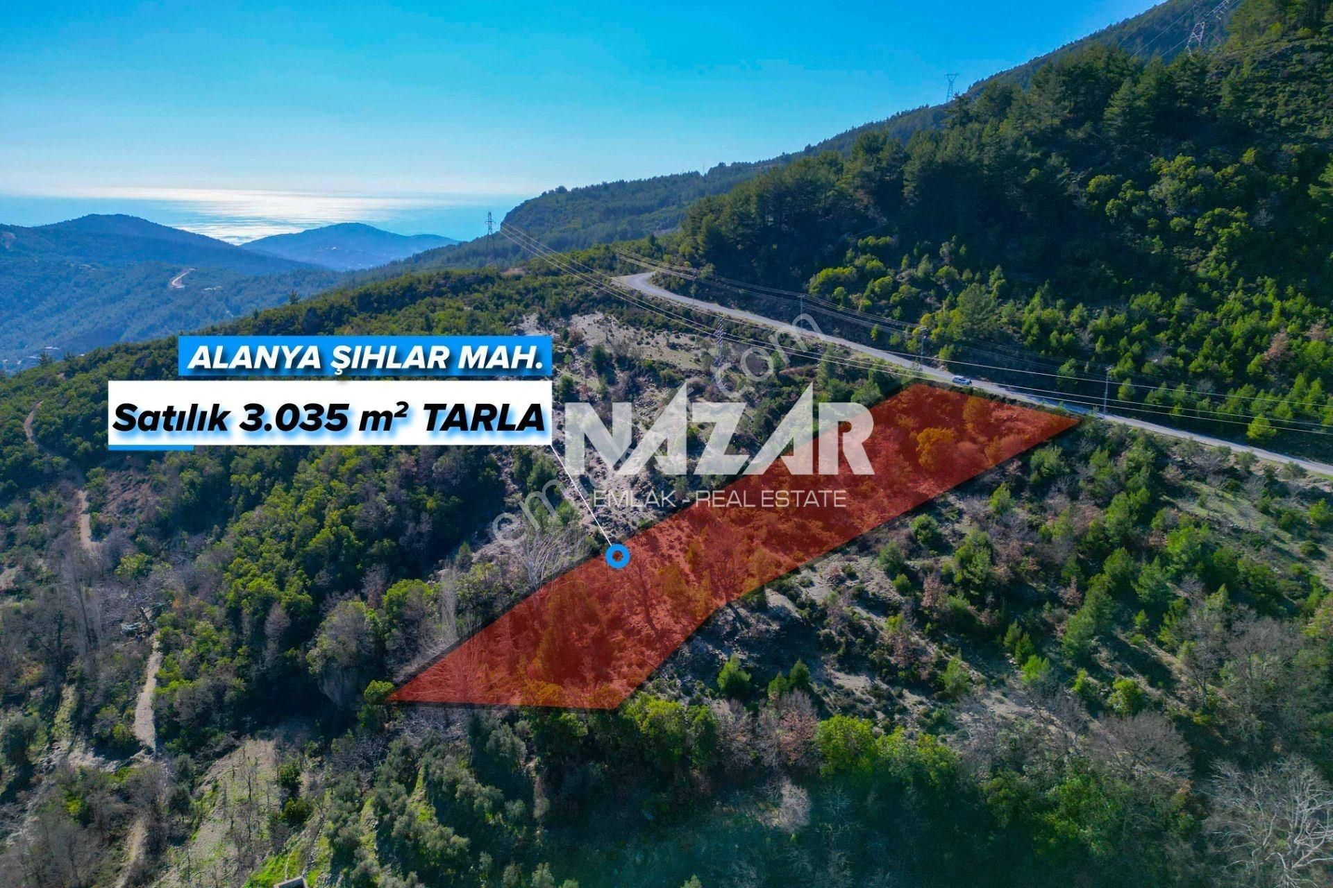 Alanya Şıhlar Köyü’nde 3.035 M² Satılık Tarla - Görsel 2