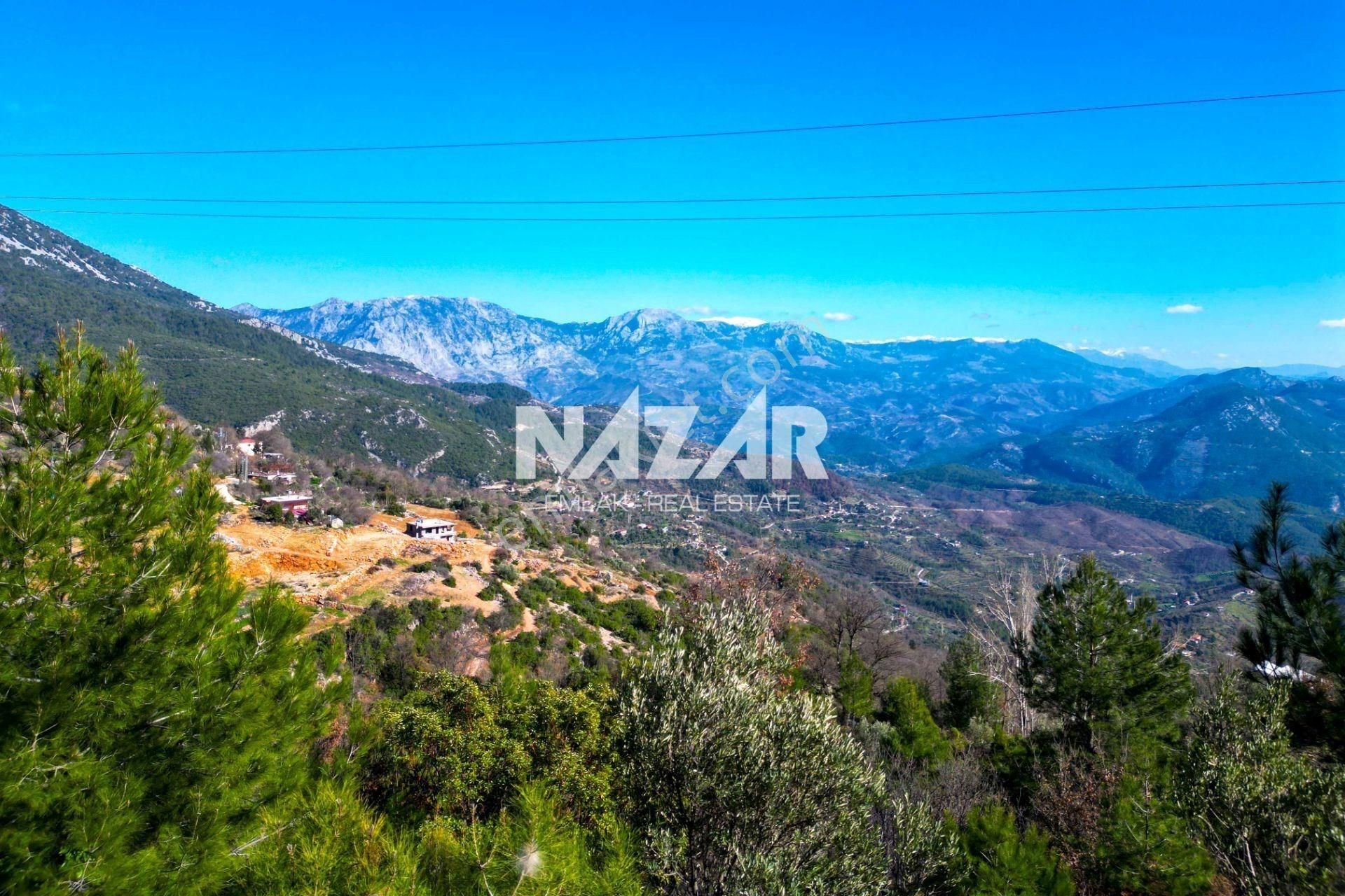 Alanya Şıhlar Köyü’nde 3.035 M² Satılık Tarla - Görsel 5