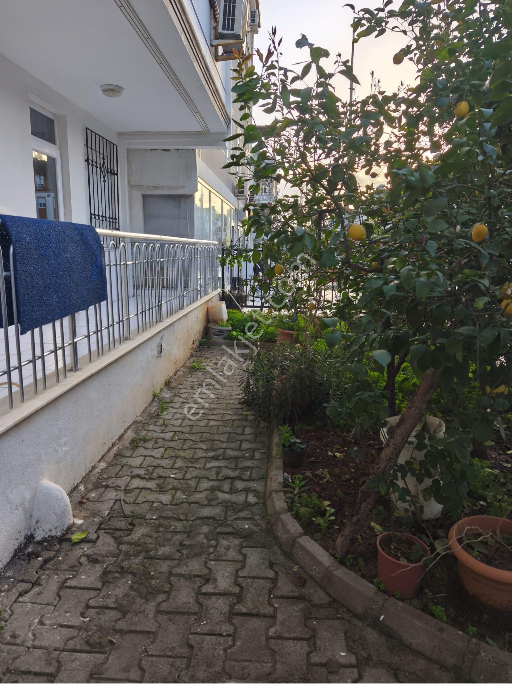 Kütükçü Mahallesi 2+1 Kiralık Yüksek Giriş - Görsel 3