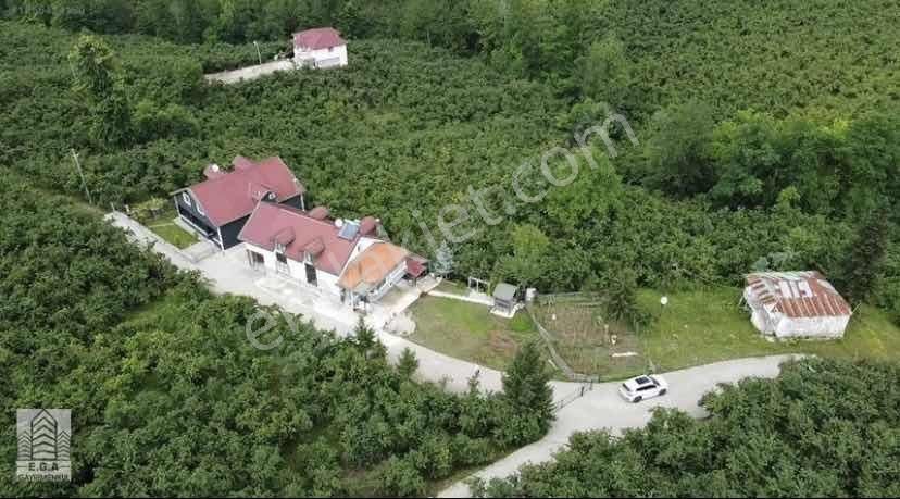 E.g.a'dan Uzunisa 3650 M2 Arsa Üzeri 5+1 Villa !!!