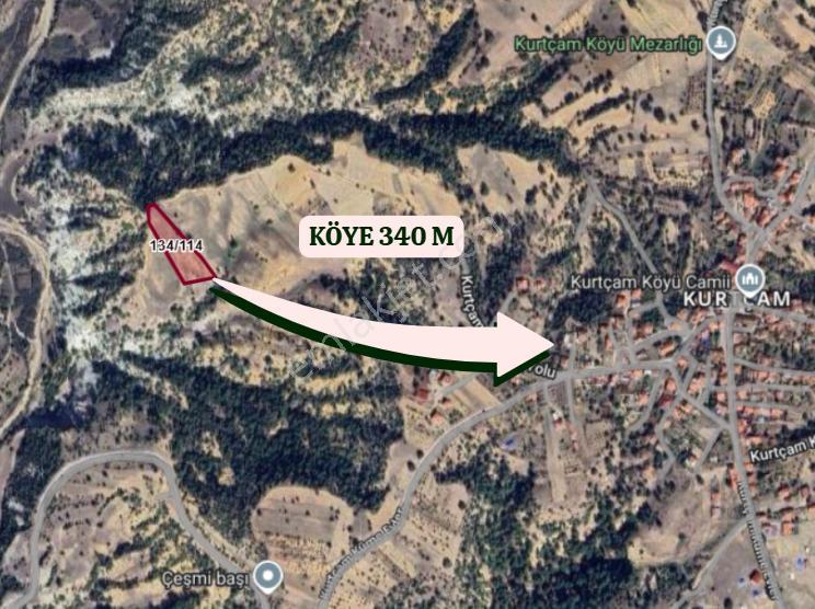 Kütahya Gediz Kurtçam Köyünde 4.300 M² Tarla Satılıktır - Görsel 4