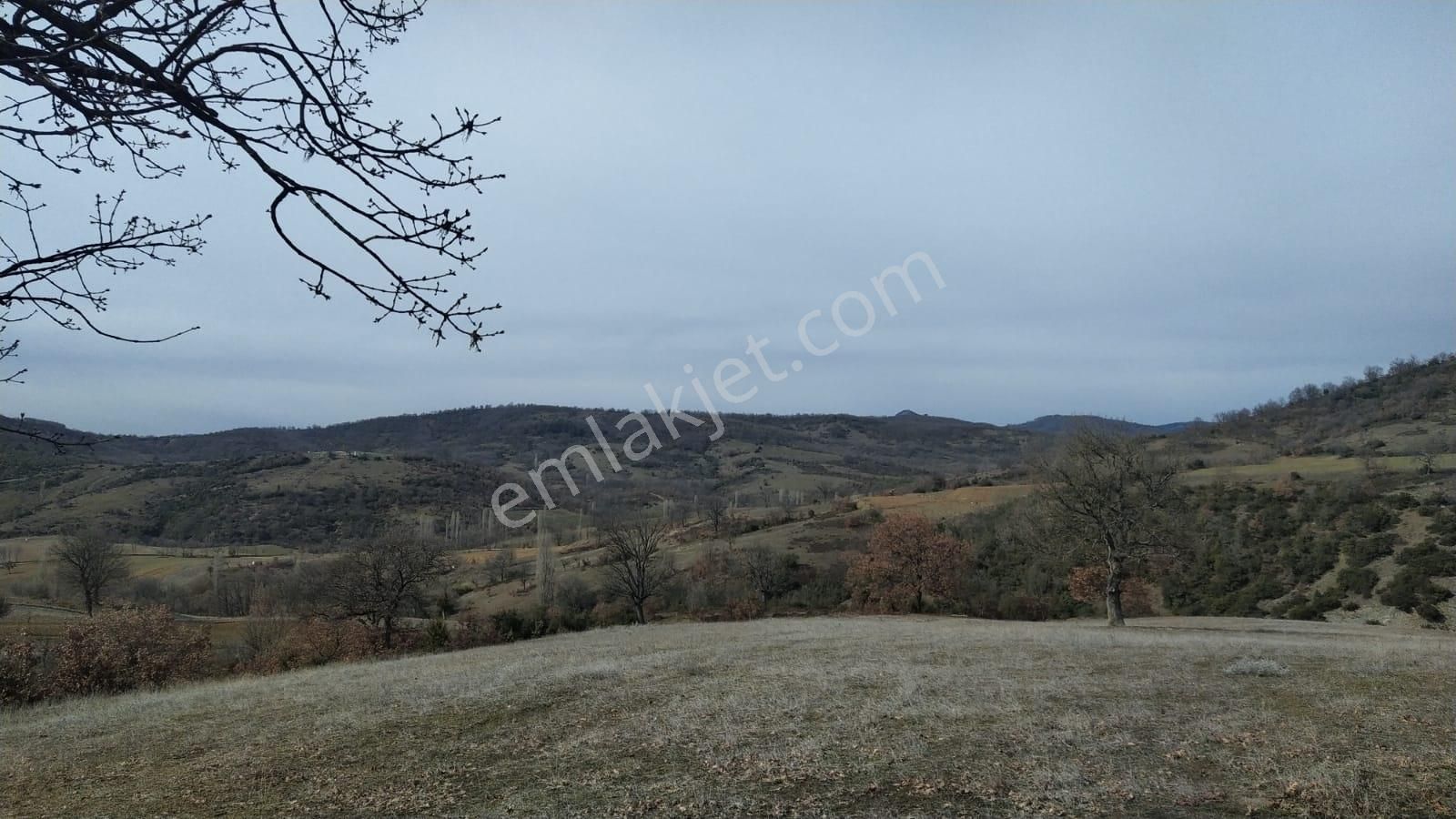 Kestel Nüzhetiye De 19.500 M2 Satılık Tarla - Görsel 9