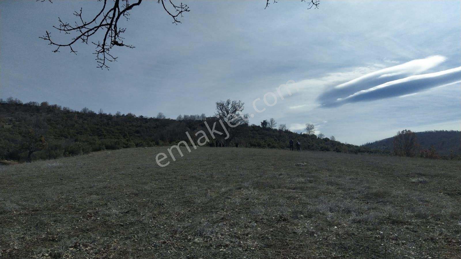 Kestel Nüzhetiye De 19.500 M2 Satılık Tarla - Görsel 10