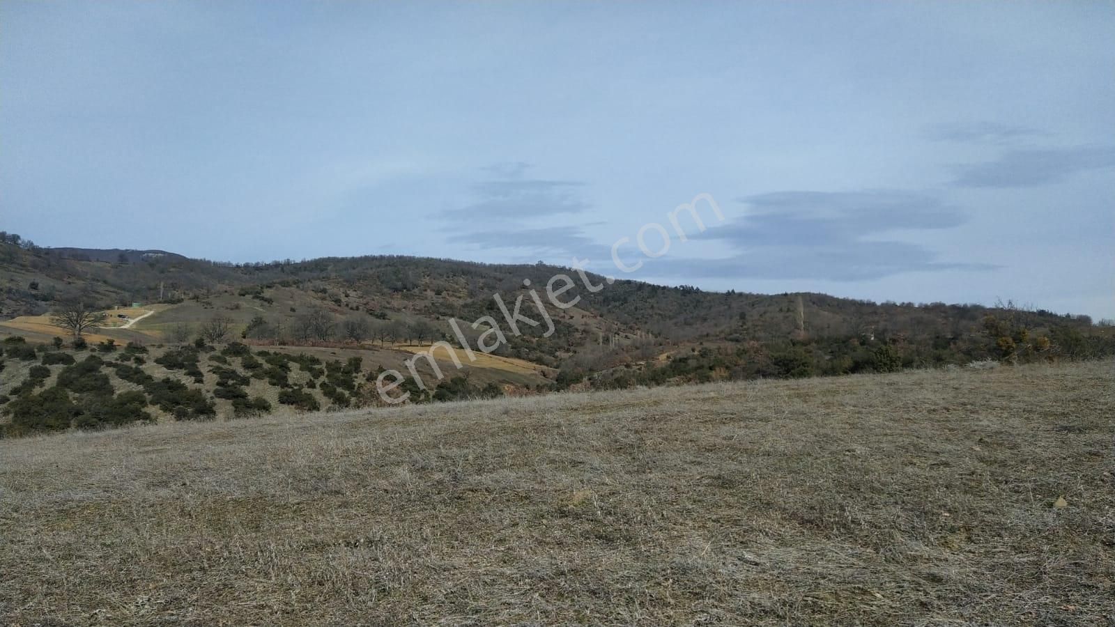 Kestel Nüzhetiye De 19.500 M2 Satılık Tarla - Görsel 7