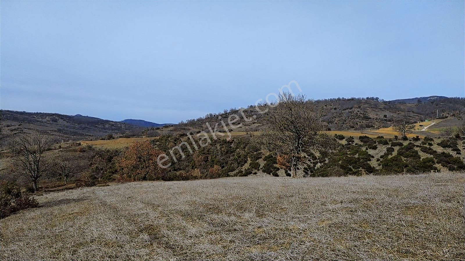 Kestel Nüzhetiye De 19.500 M2 Satılık Tarla - Görsel 4