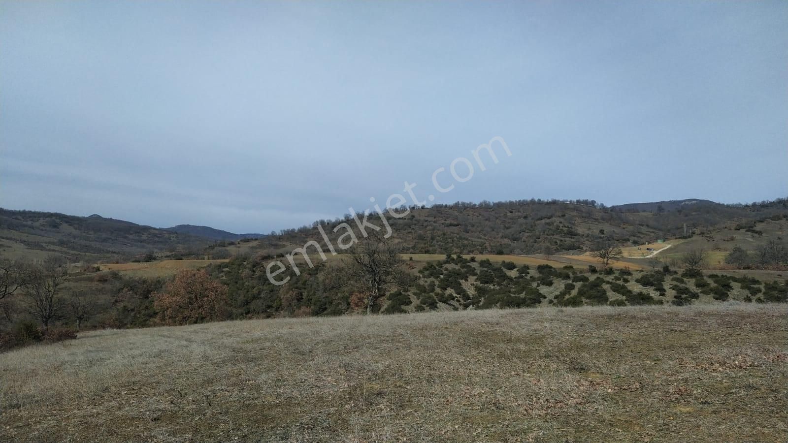 Kestel Nüzhetiye De 19.500 M2 Satılık Tarla - Görsel 6