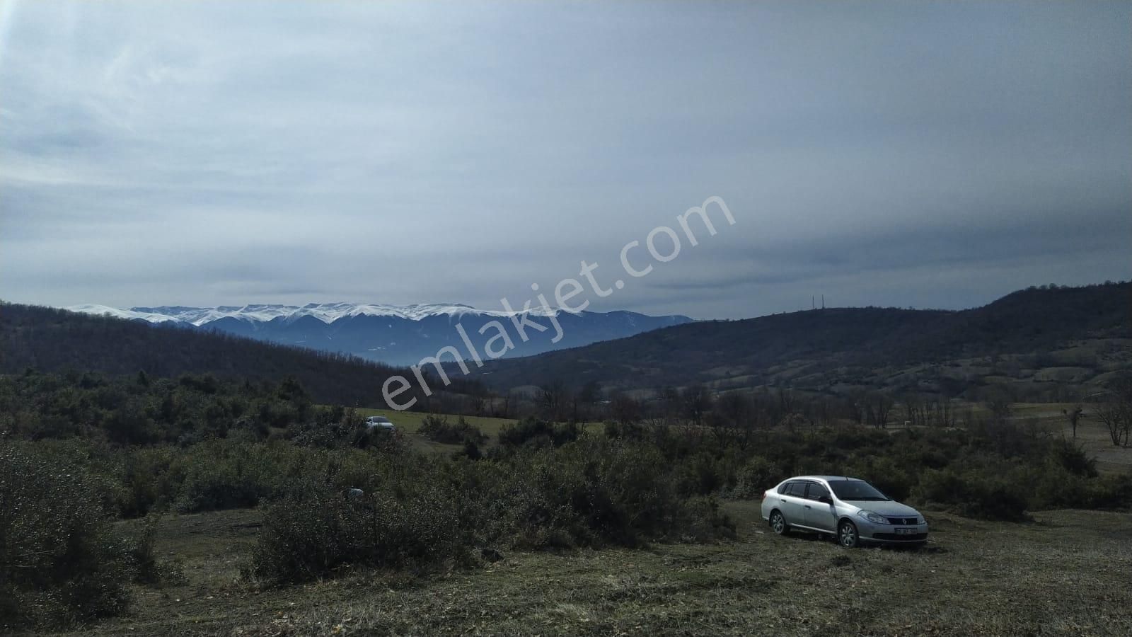 Kestel Nüzhetiye De 19.500 M2 Satılık Tarla - Görsel 8