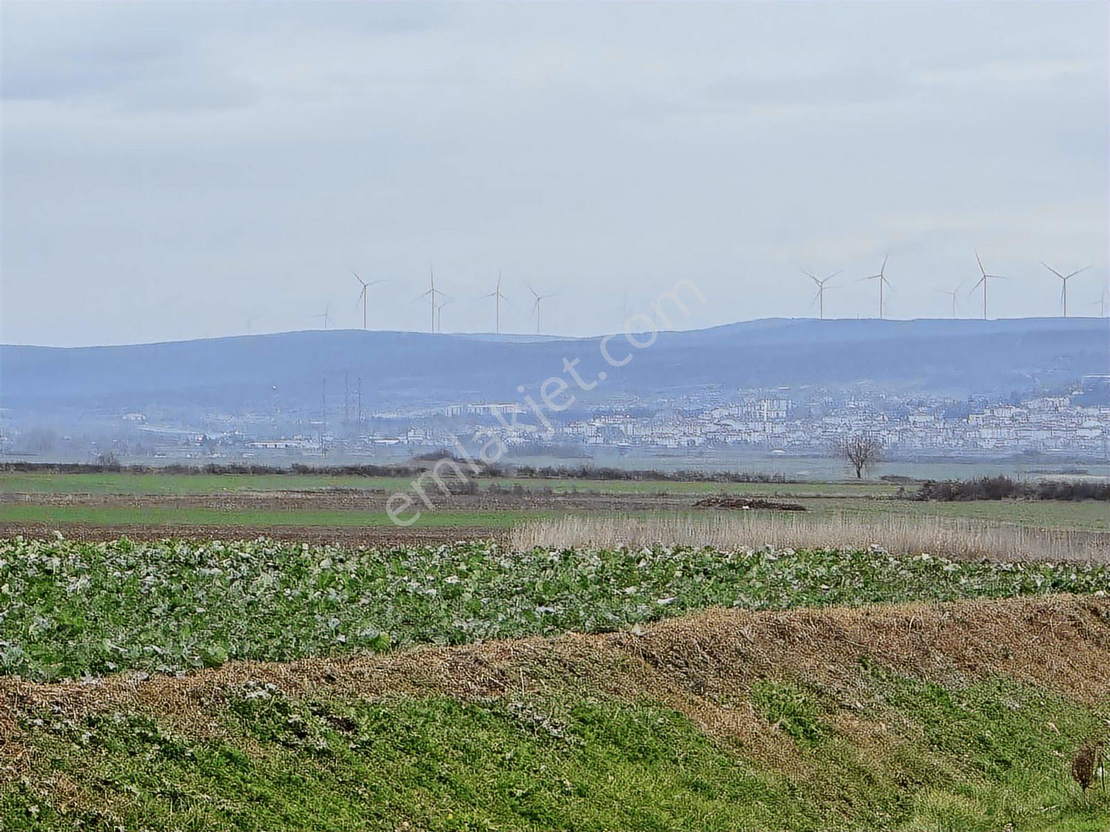 Kırklareli Vize Düzova Mah 281 M2 Arsamız Satışta - Görsel 4