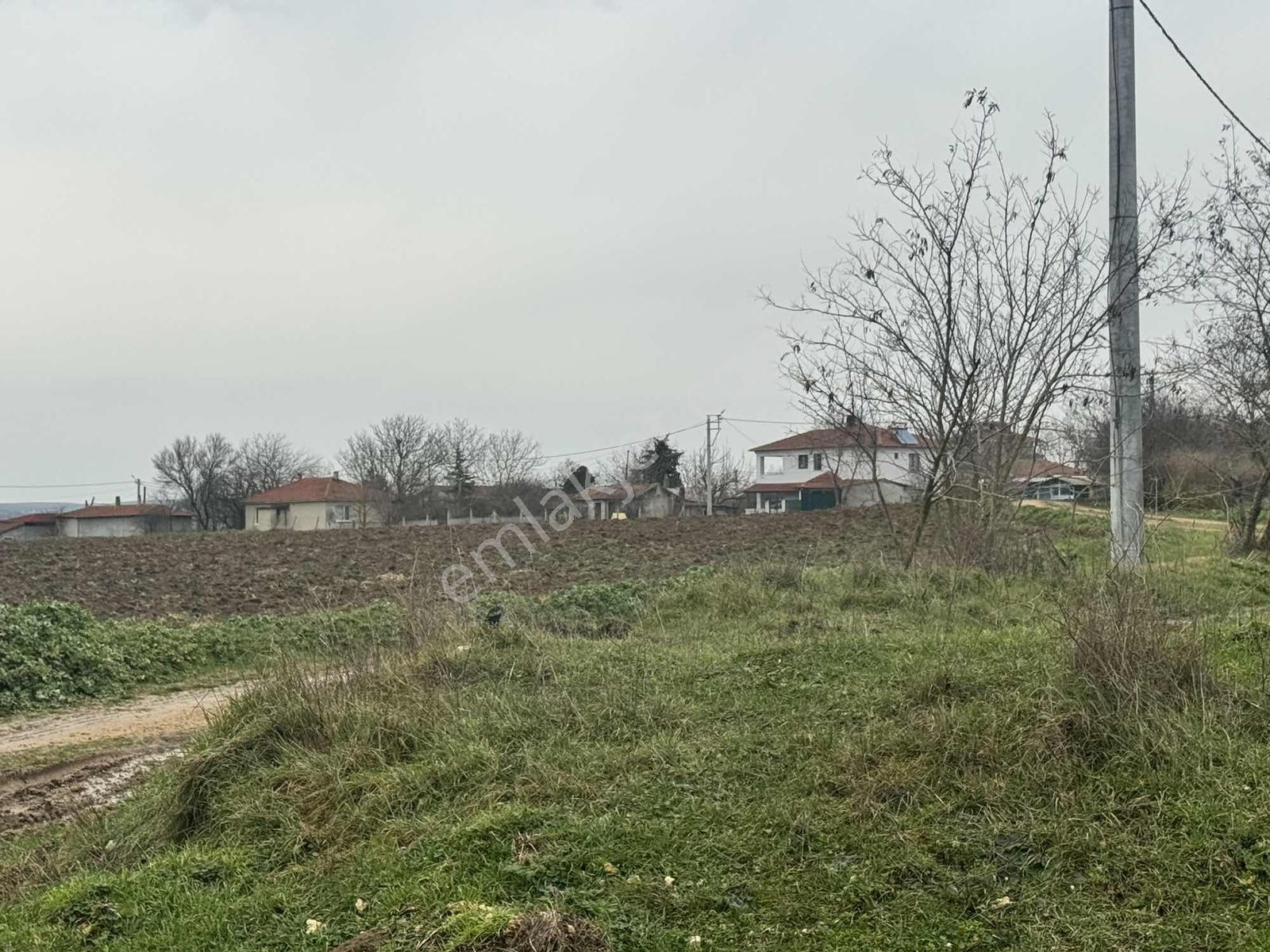 Kırklareli Vize Düzova Mah 281 M2 Arsamız Satışta - Görsel 9