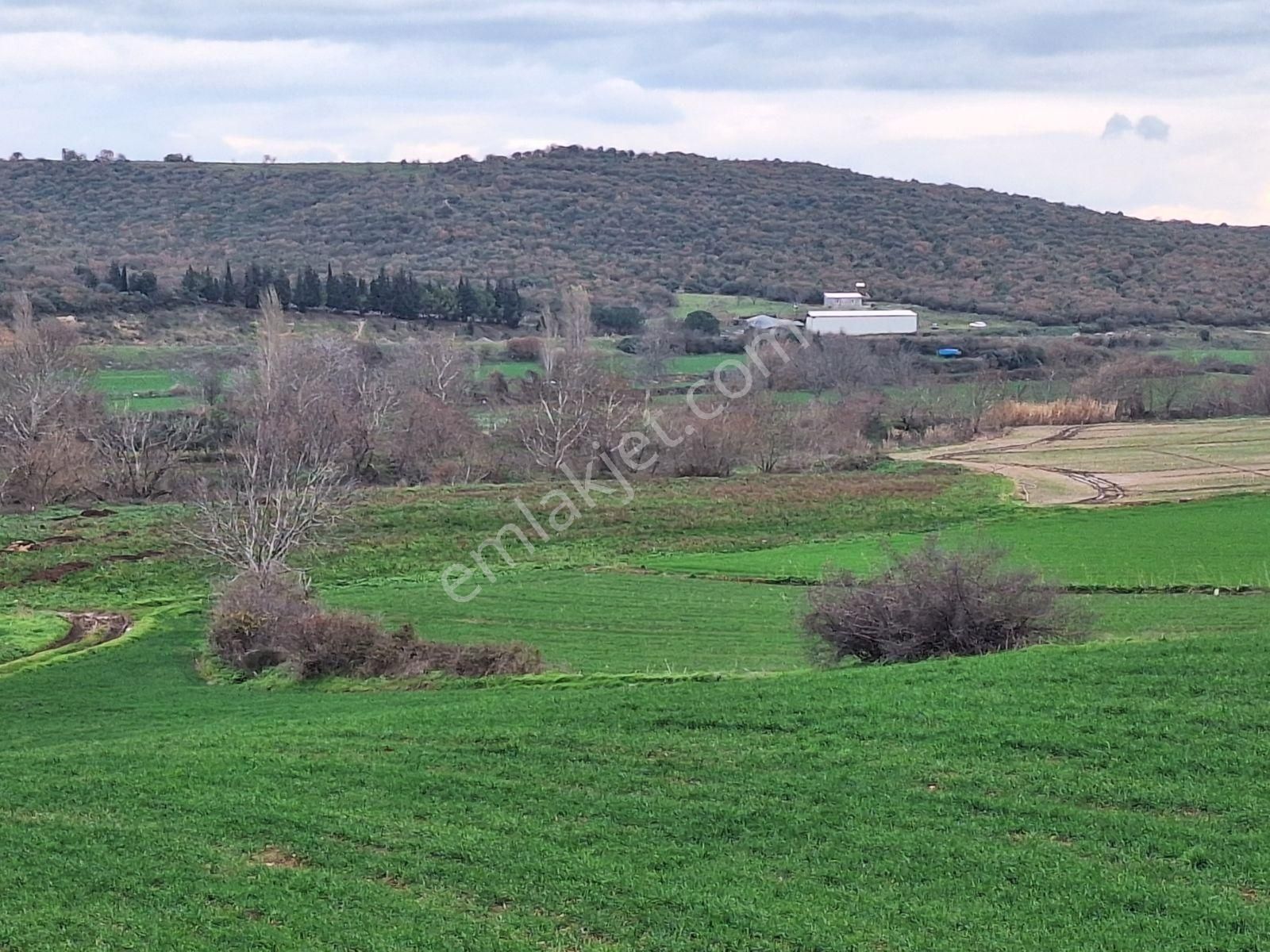 Karacabey Karasu Da Satılık Yatırımlık Hobi Bahçelik Arazi - Görsel 11