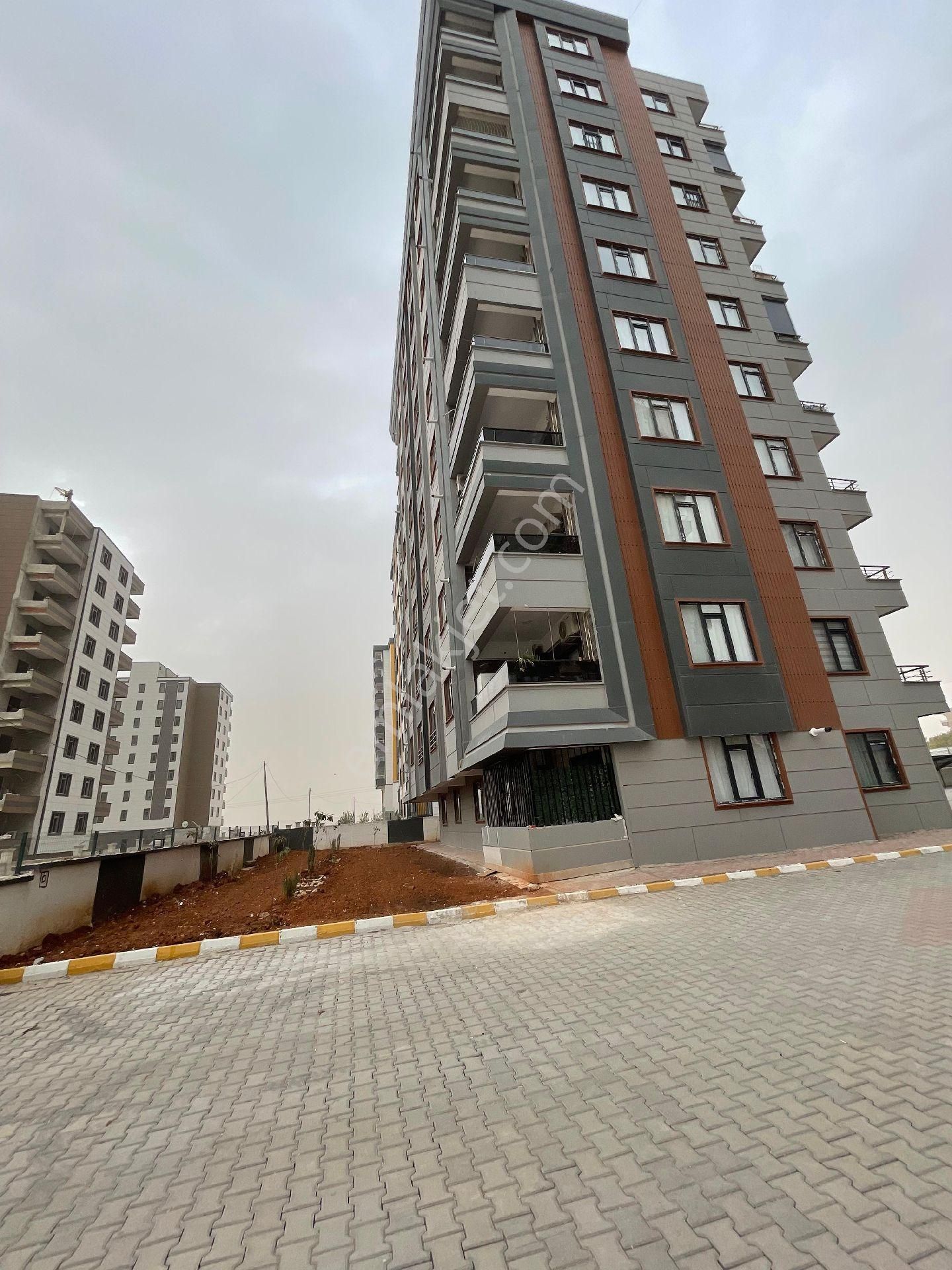 Cadde Seyran Emlaktan 2+0 - Görsel 14