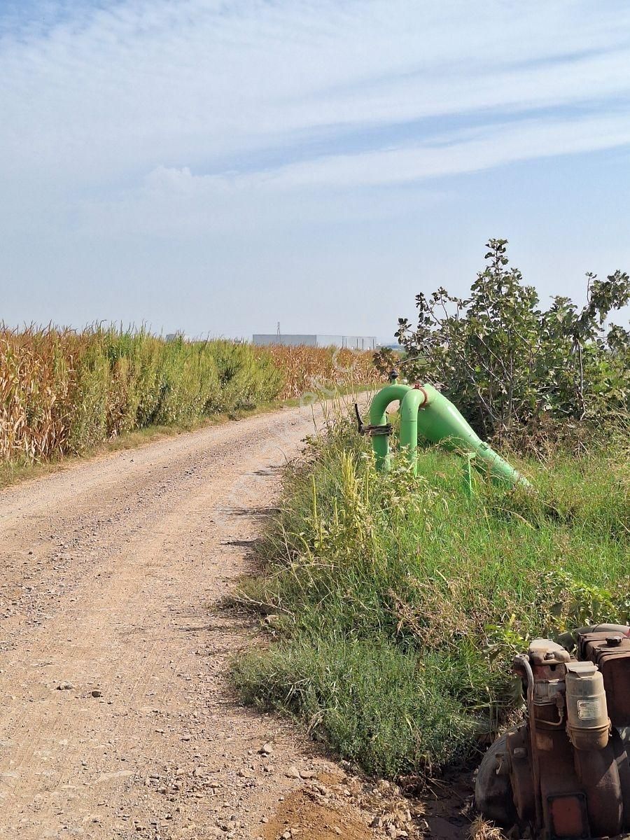 Karacabey Canbalı Da Satılık Yatırımlık Hobi Bahçelik Arazi - Görsel 8
