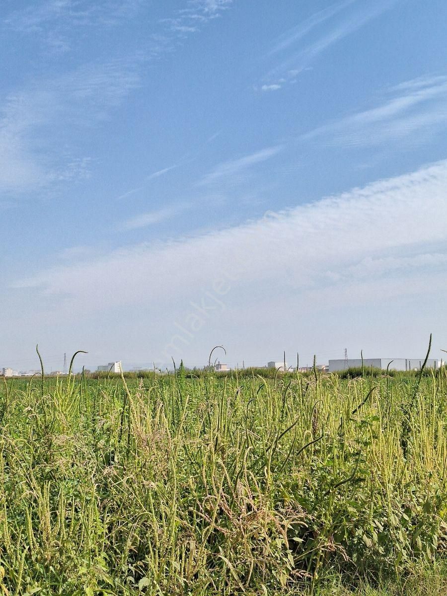Karacabey Canbalı Da Satılık Yatırımlık Hobi Bahçelik Arazi - Görsel 10