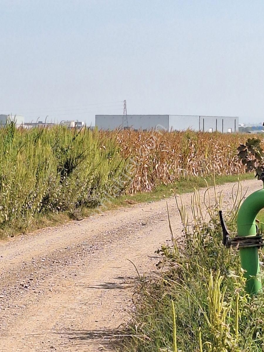 Karacabey Canbalı Da Satılık Yatırımlık Hobi Bahçelik Arazi - Görsel 6