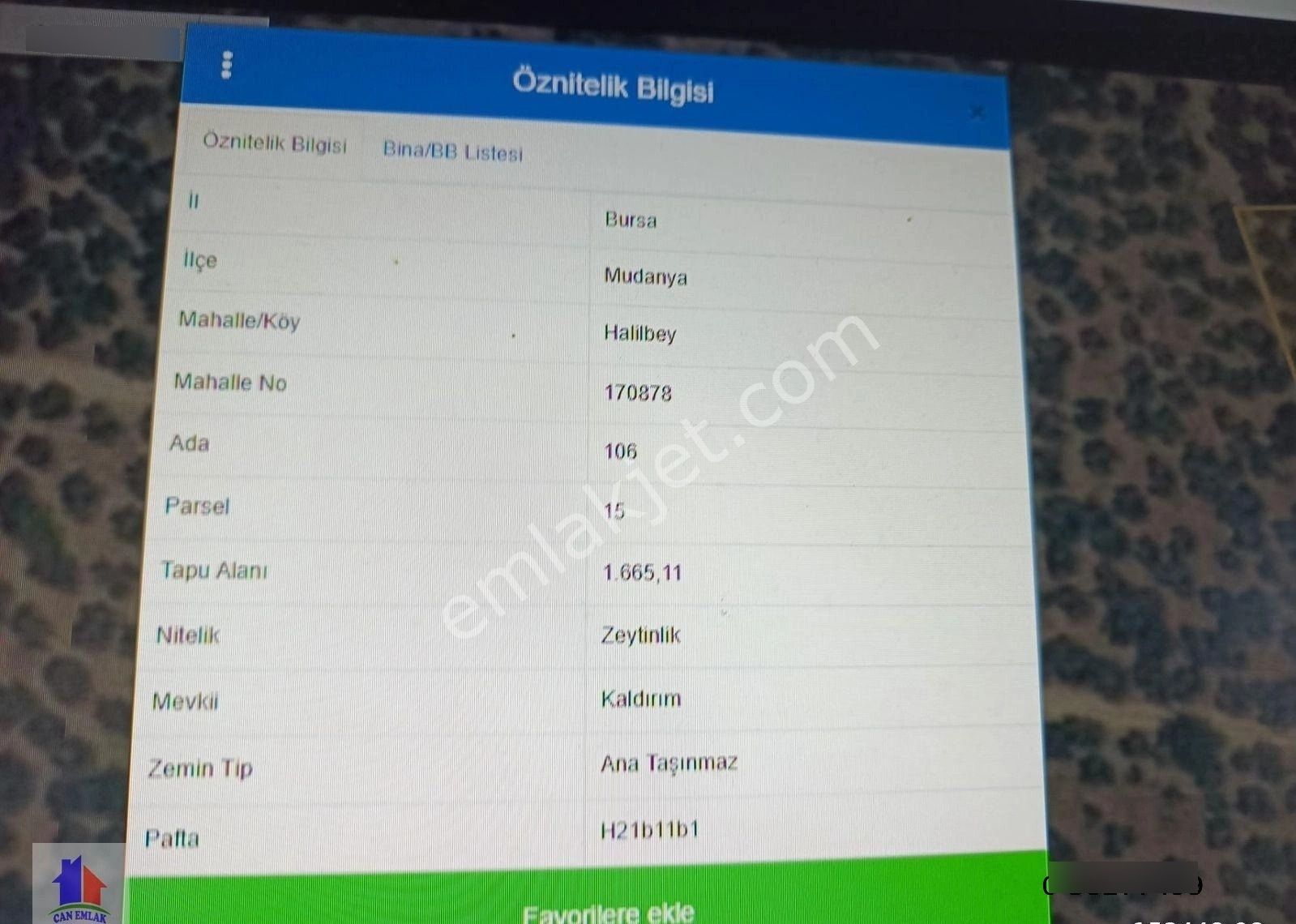 Mudanya Halilbey Mah.'de Satılık Zeytinlik Trilyeye Yakın Markajda Bakımlı Zeytinlik - Görsel 4