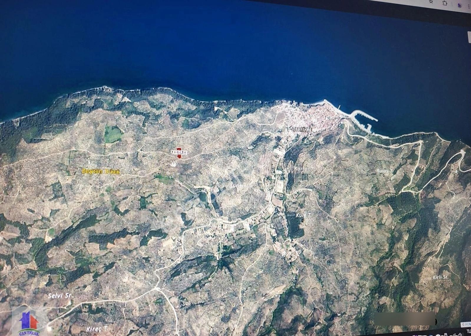 Mudanya Halilbey Mah.'de Satılık Zeytinlik Trilyeye Yakın Markajda Bakımlı Zeytinlik