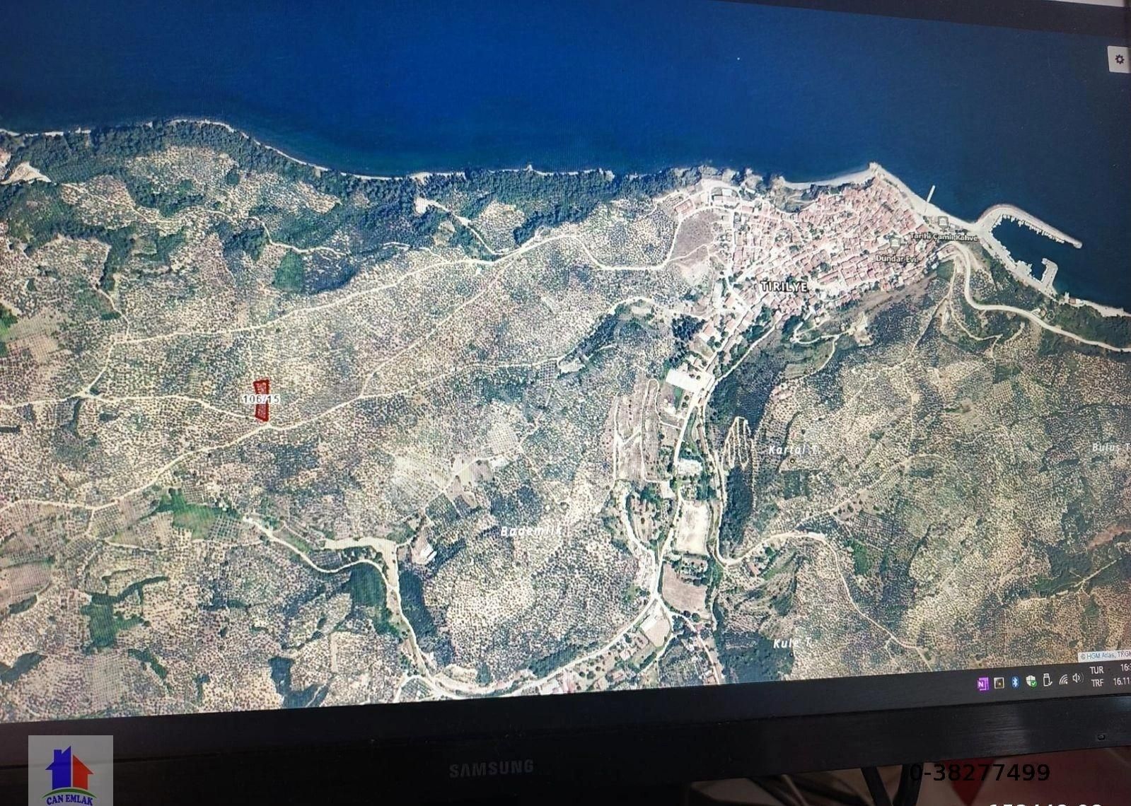 Mudanya Halilbey Mah.'de Satılık Zeytinlik Trilyeye Yakın Markajda Bakımlı Zeytinlik - Görsel 2