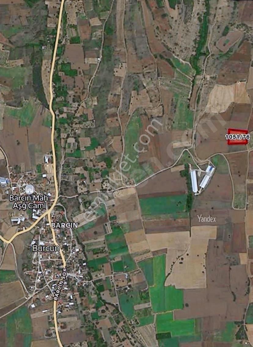 Yenişehir Barcın Dasatılık Tarla - Görsel 3