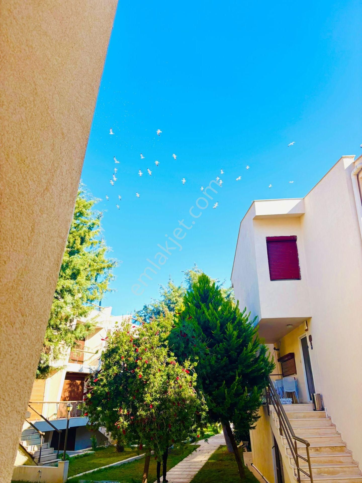 Kuşadası Kadınlar Denizinde Full Deniz Manzaralı Çatı Dubleks - Görsel 15