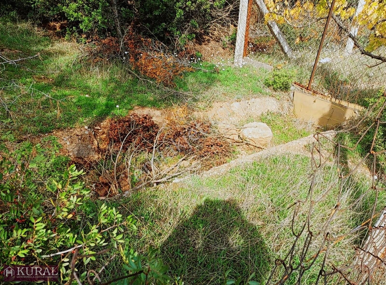 İzmir Menderes Yeniköyde 5685 M2 Tek Tapu Malikhane Ev Bahçe - Görsel 27