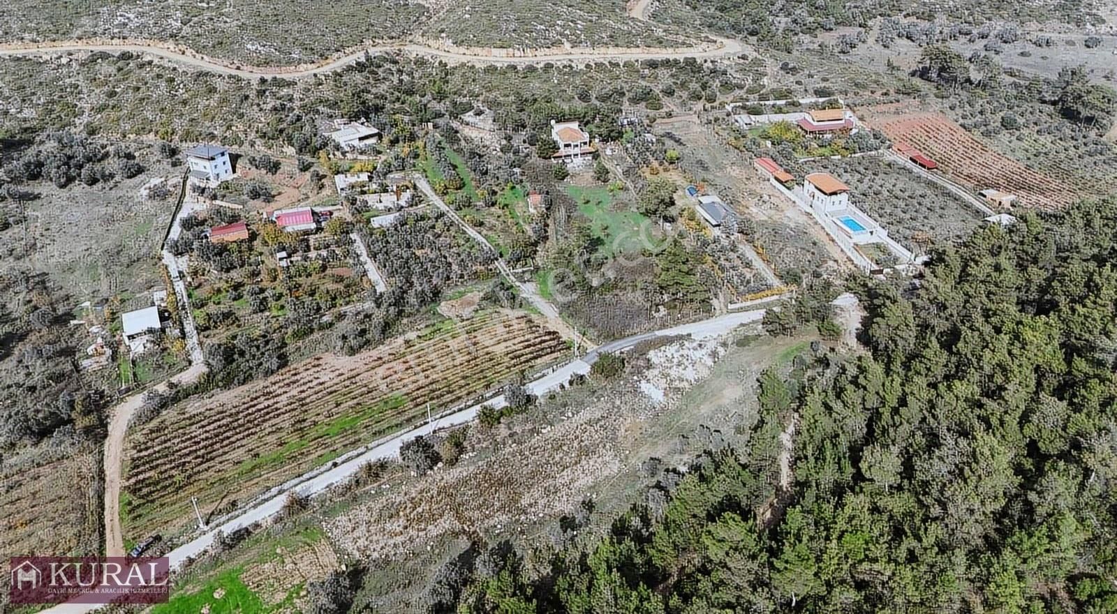 İzmir Menderes Yeniköyde 5685 M2 Tek Tapu Malikhane Ev Bahçe - Görsel 24