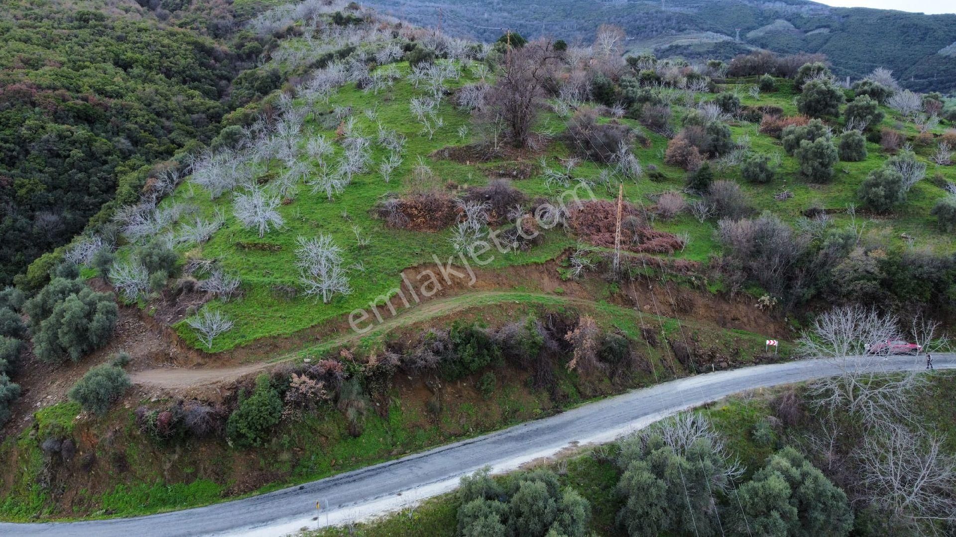 Hisarlık Köyünde Yola Sıfır Kaçırılmayacak Fırsat Arsa - Görsel 2