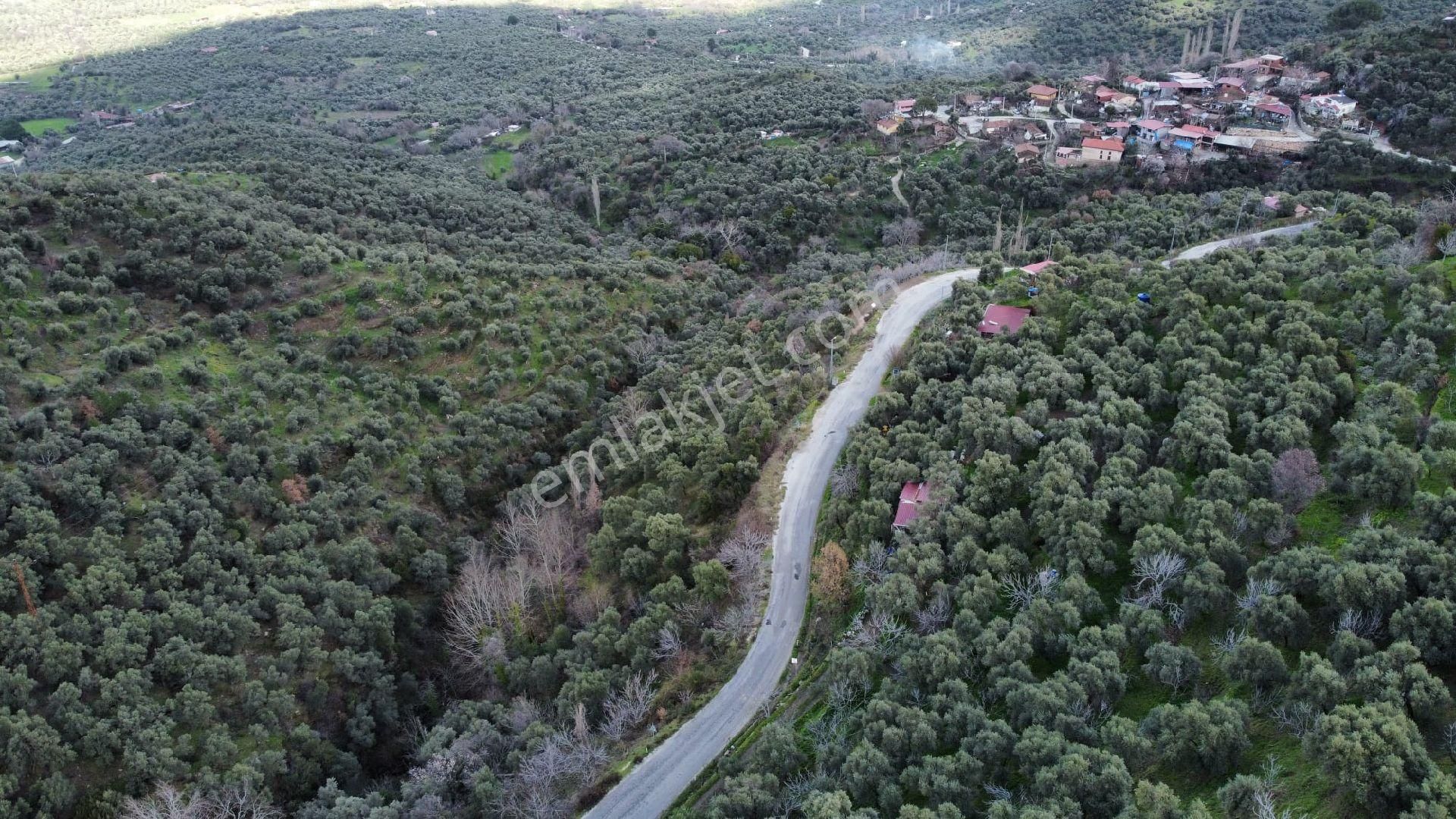 Hisarlık Köyünde Yola Sıfır Kaçırılmayacak Fırsat Arsa - Görsel 11