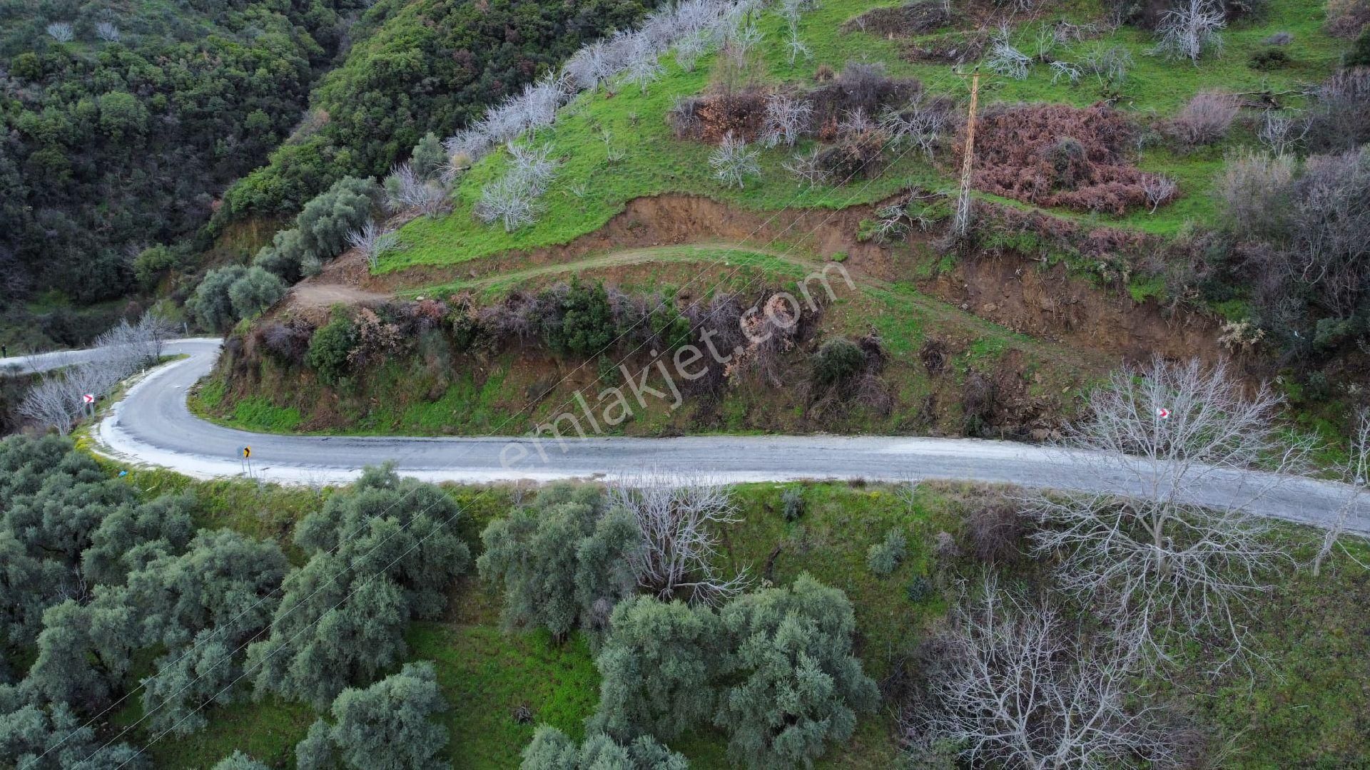 Hisarlık Köyünde Yola Sıfır Kaçırılmayacak Fırsat Arsa - Görsel 3