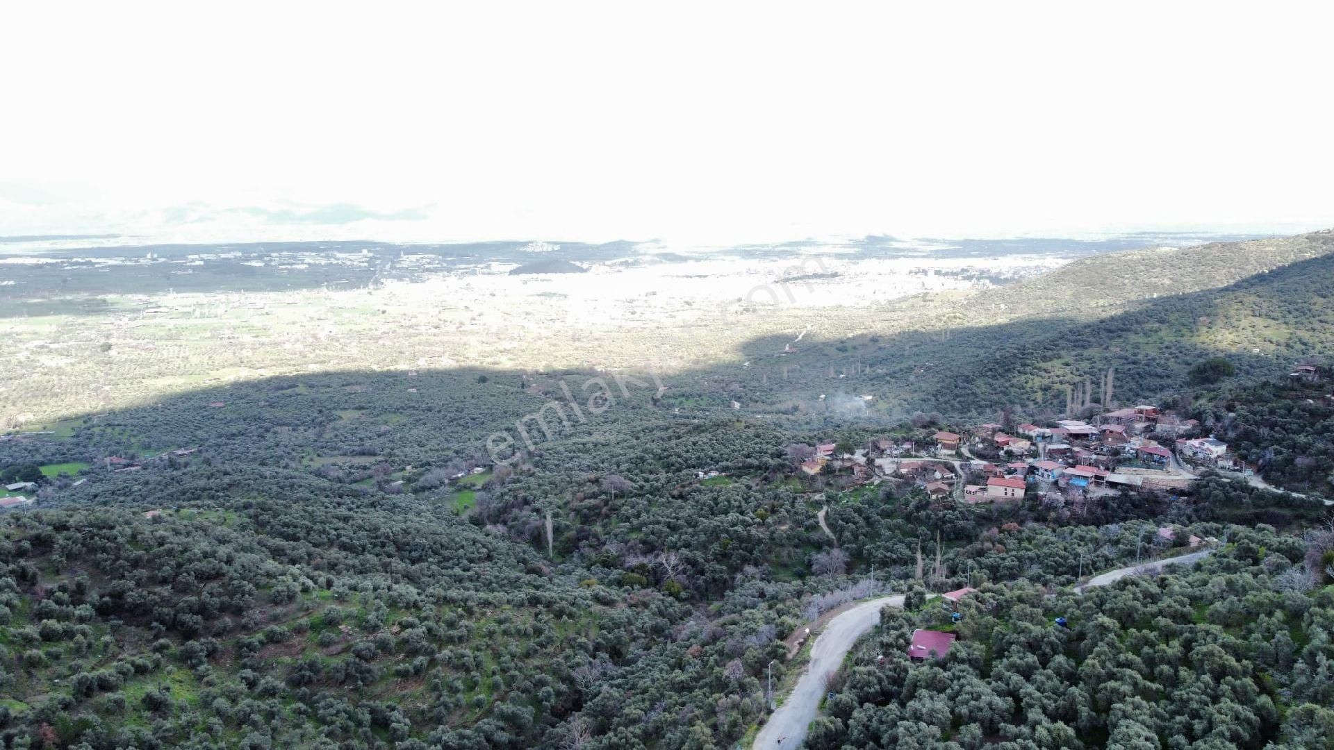 Hisarlık Köyünde Yola Sıfır Kaçırılmayacak Fırsat Arsa - Görsel 12