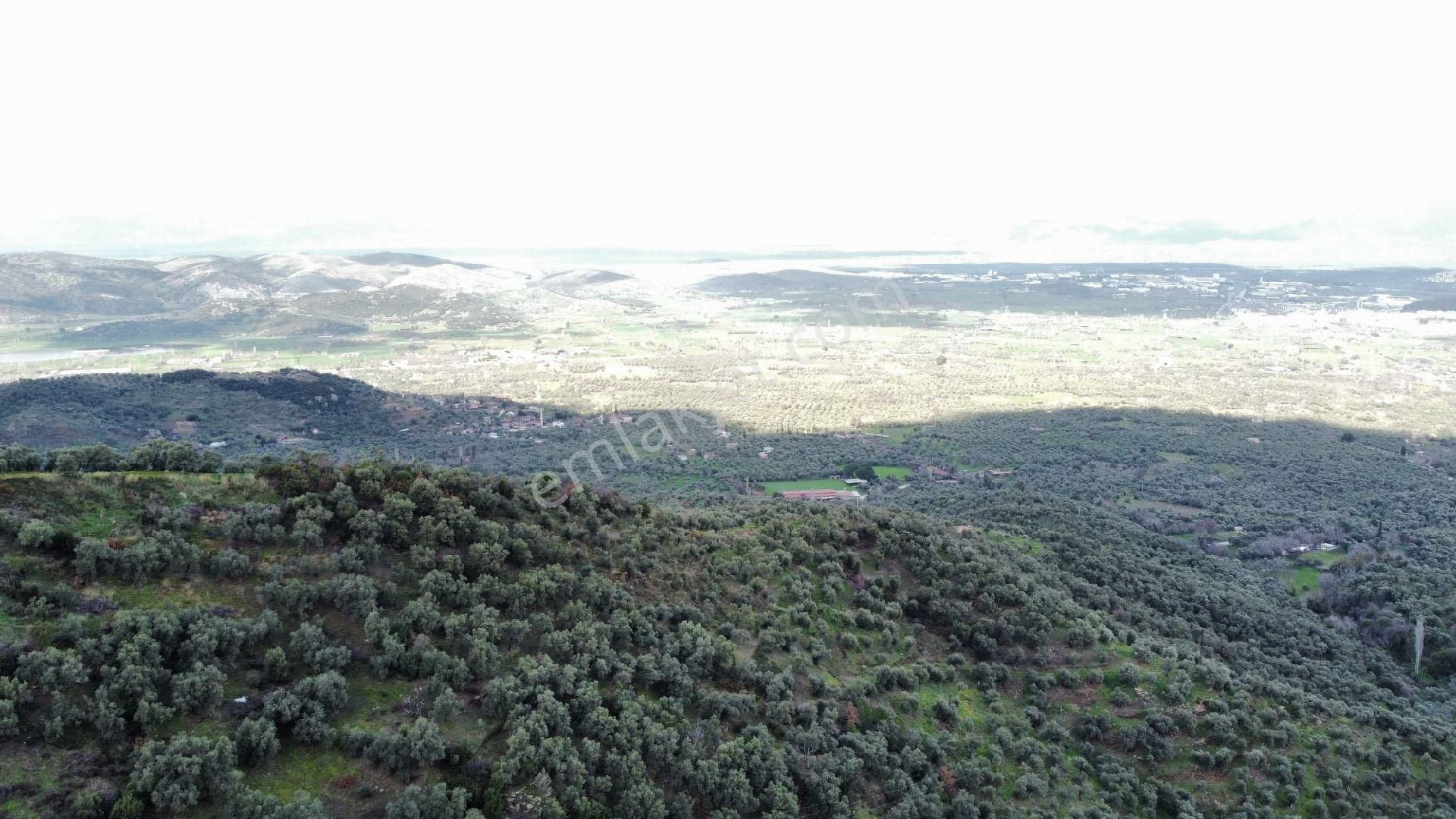 Hisarlık Köyünde Yola Sıfır Kaçırılmayacak Fırsat Arsa - Görsel 9