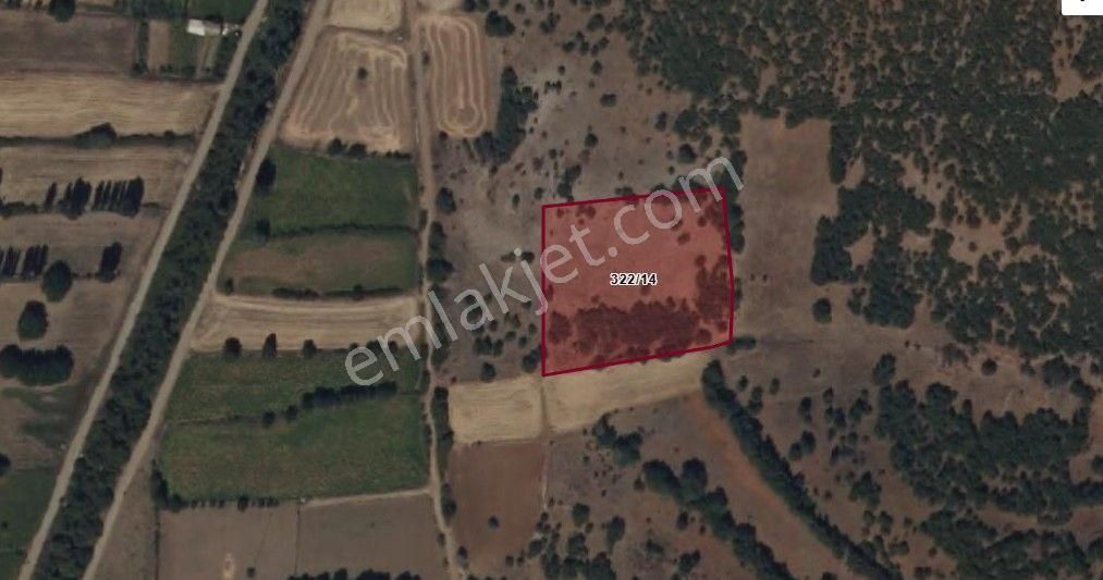 Satılık Fırsat Tarla - Görsel 2