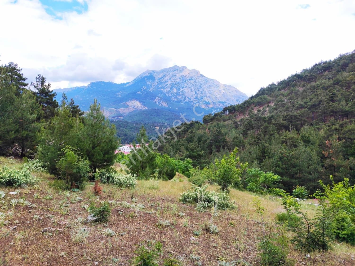 Kar Emlaktan İstiklal Mahallesinde 5 Kata İmarlı 400 M2 Satılık Arsa - Görsel 3