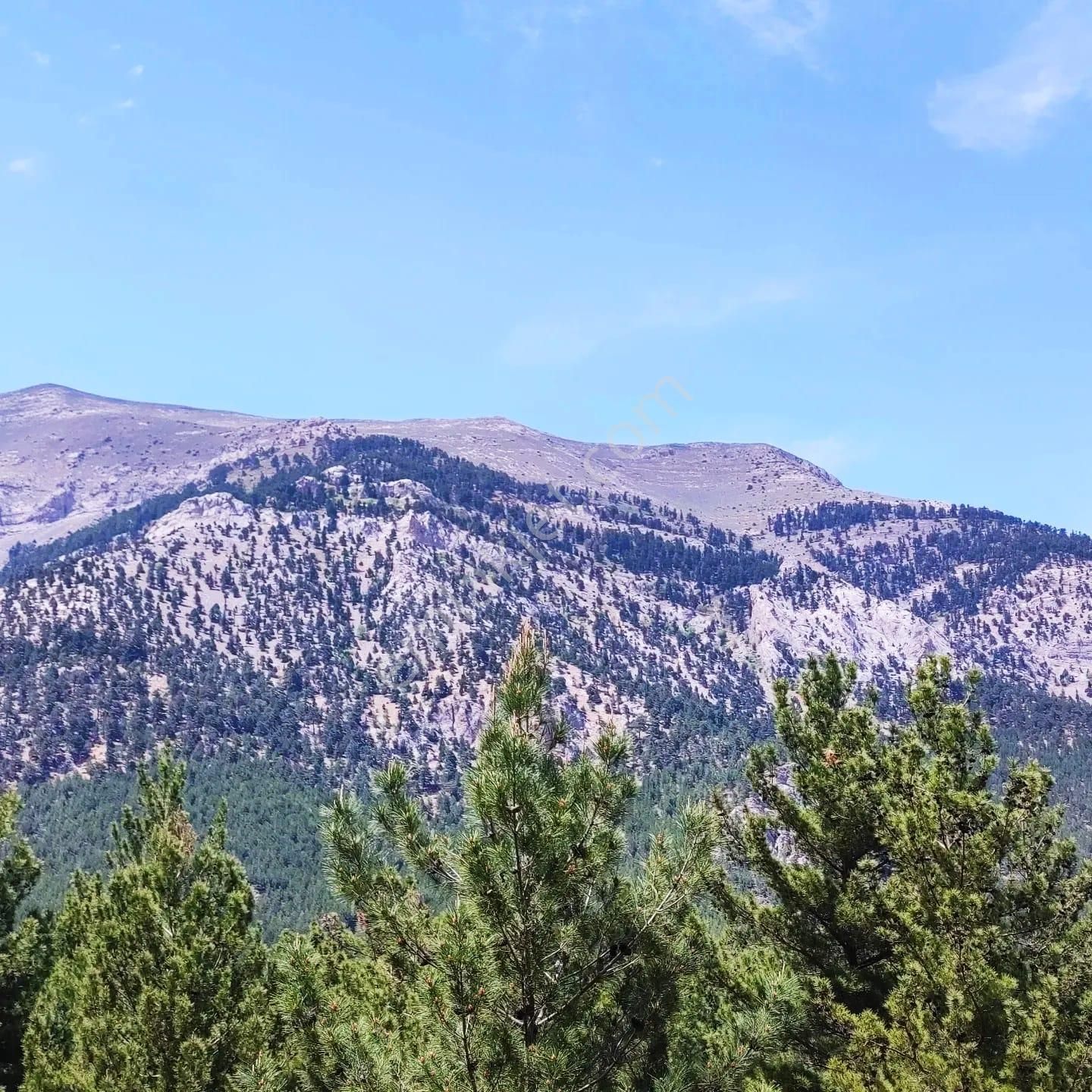 Kar Emlaktan Yeni Konacık Yapı Taşıt Sitesi Yanı 400 M2 Satılık Arsa - Görsel 24