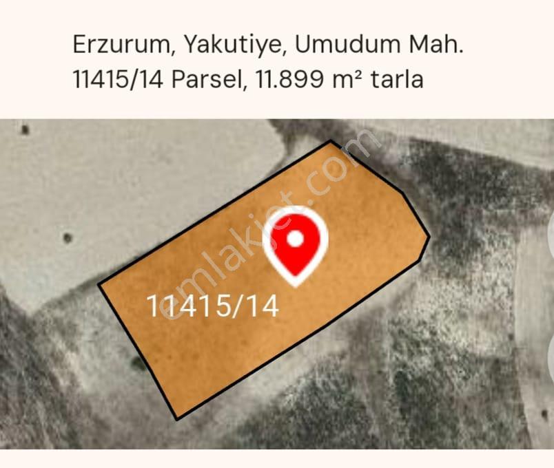 Satılık Tarla – Erzurum Yakutiye Umudum Mahallesi - Görsel 4