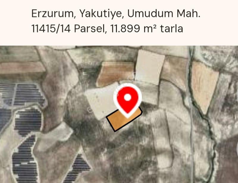 Satılık Tarla – Erzurum Yakutiye Umudum Mahallesi - Görsel 6